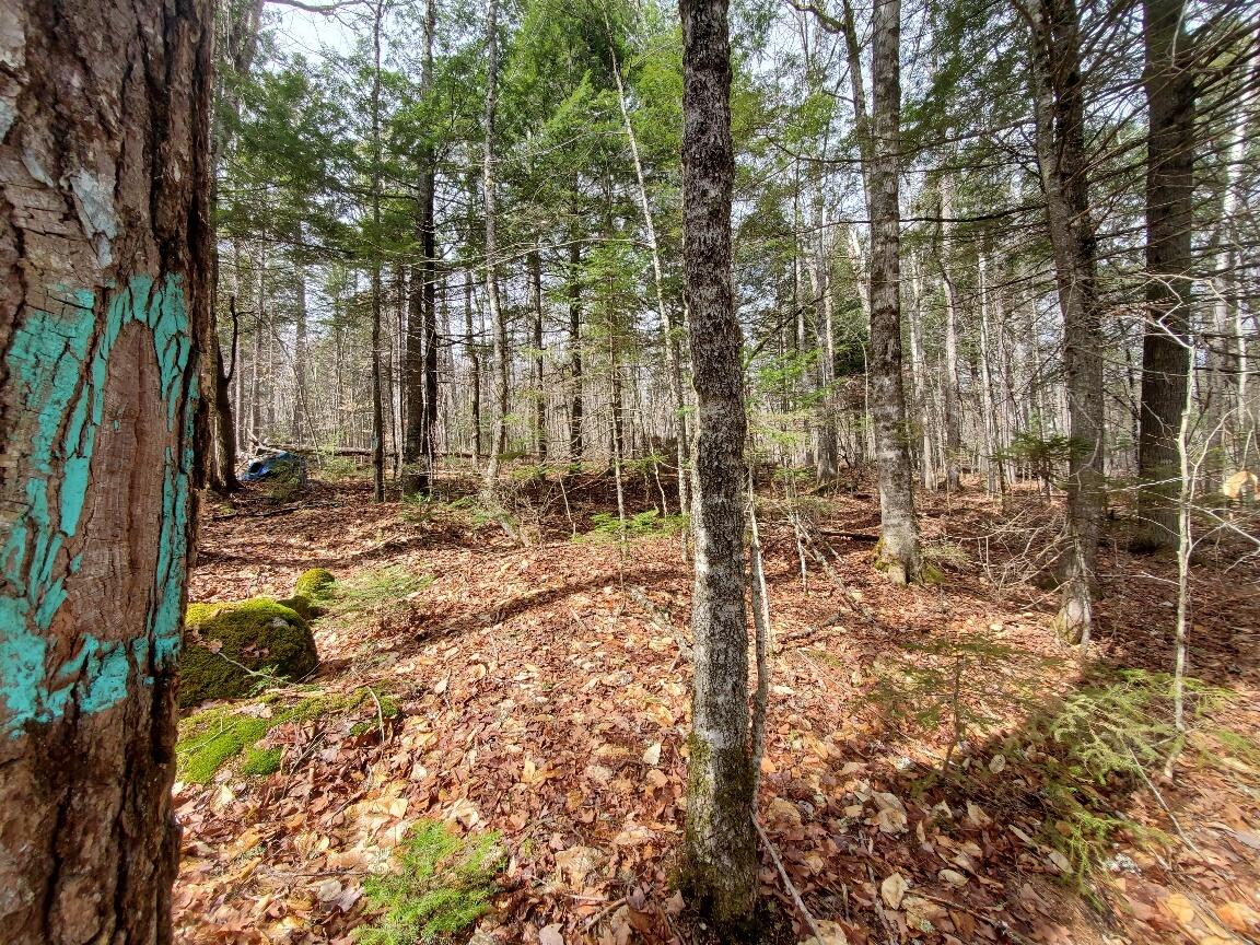 0 Sandy Beach Road, Danforth, ME, 04424