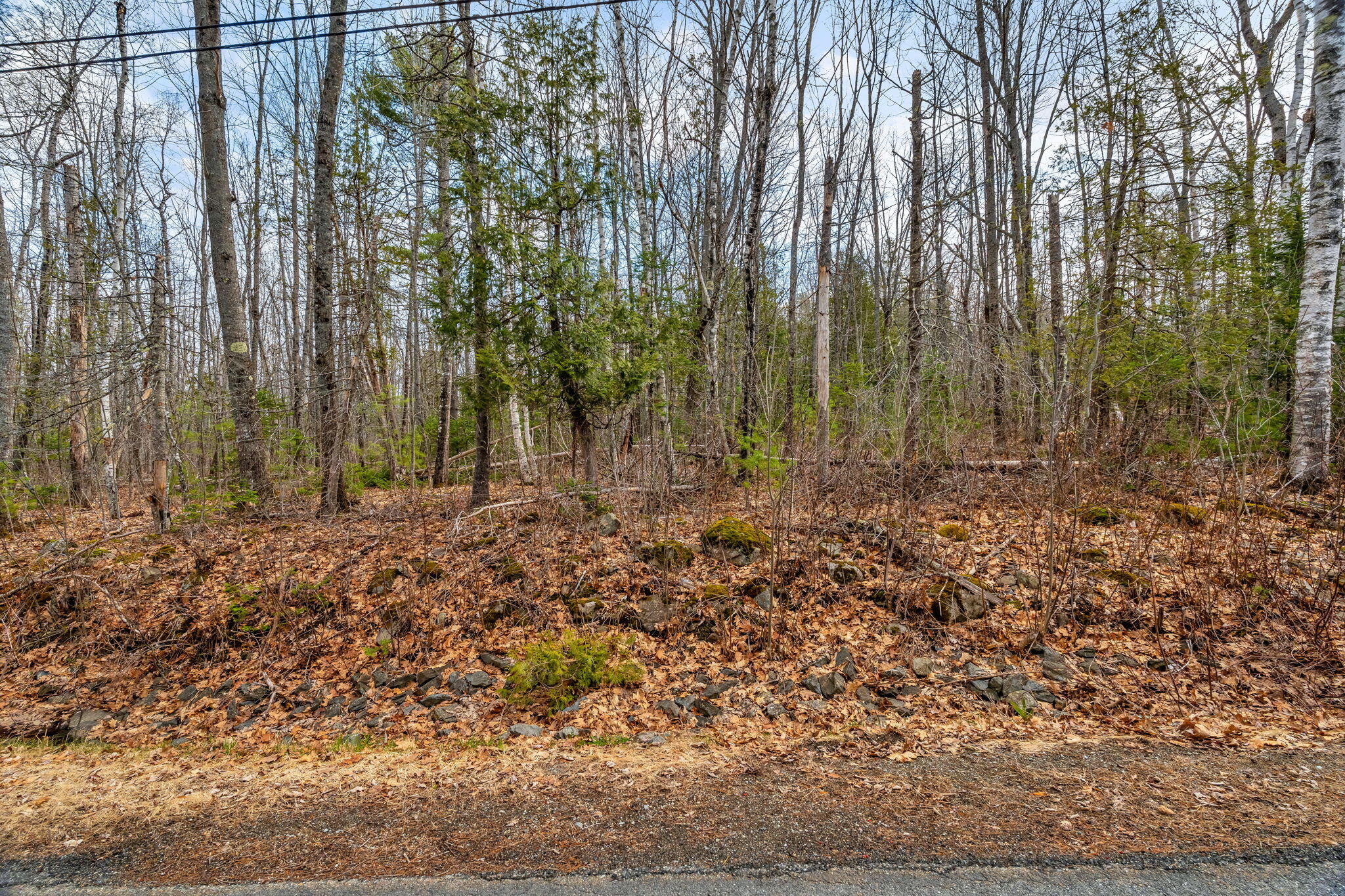 Lot 48 Manning Mill Road, Hampden, ME, 04444