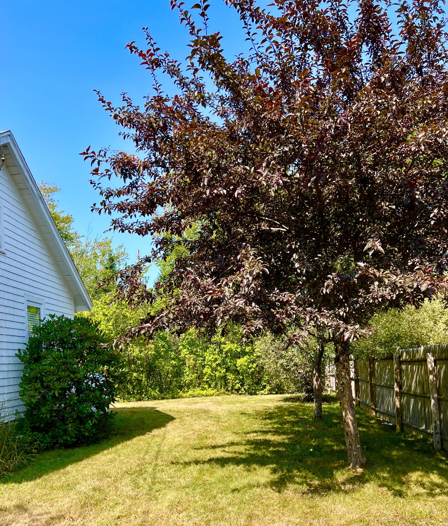 14 Seal Cove Road, Southwest Harbor, ME, 04679
