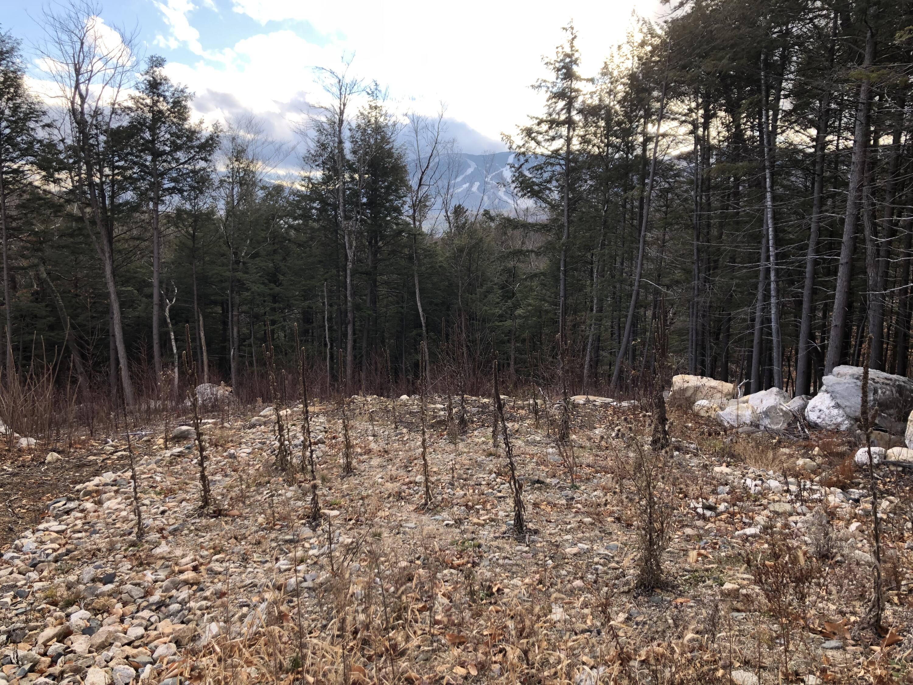 Lot 67 Snowbird Lane, Newry, ME, 04261