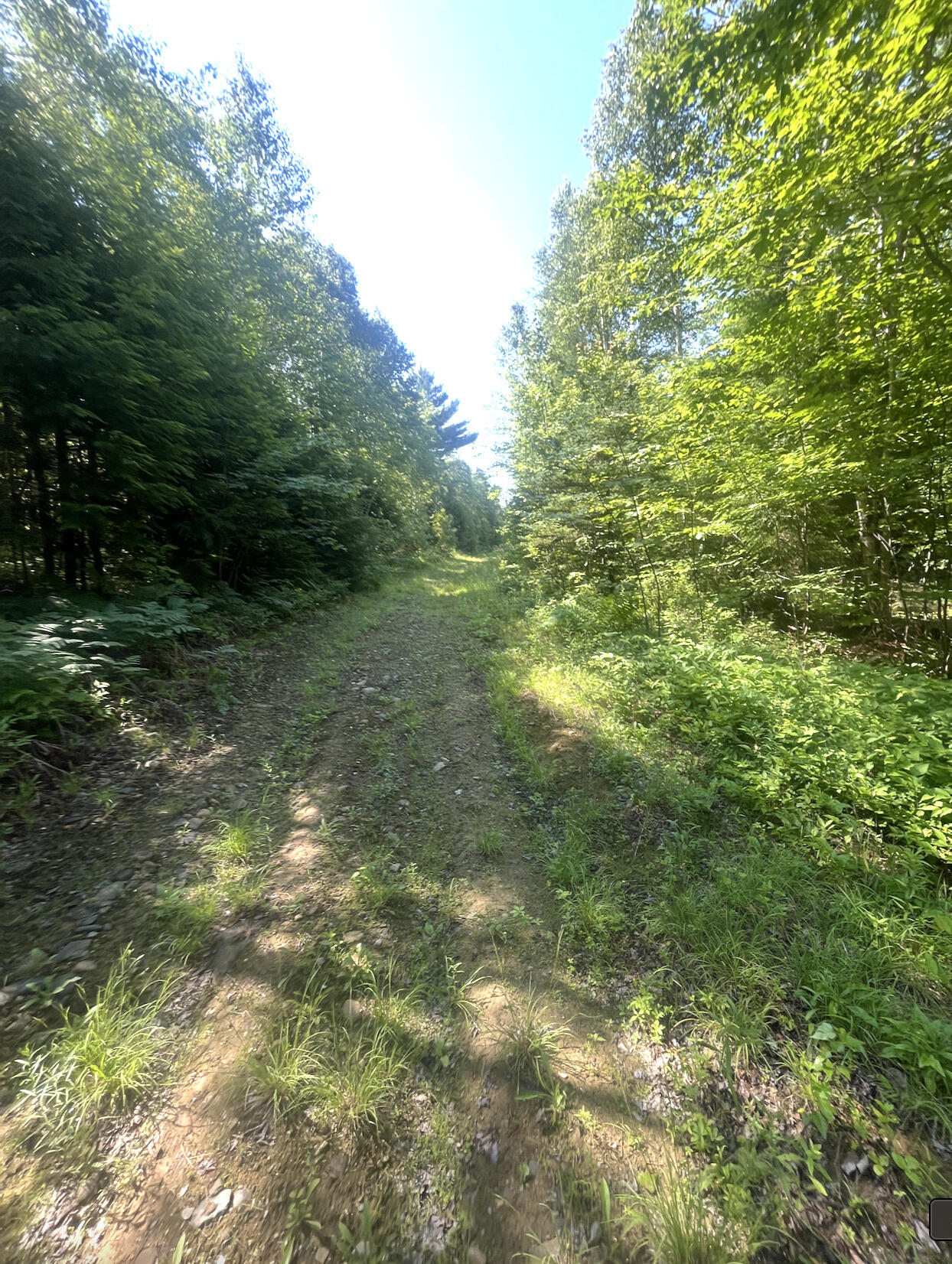 Photo of 0 Pine Grove Lane Lagrange ME 04453