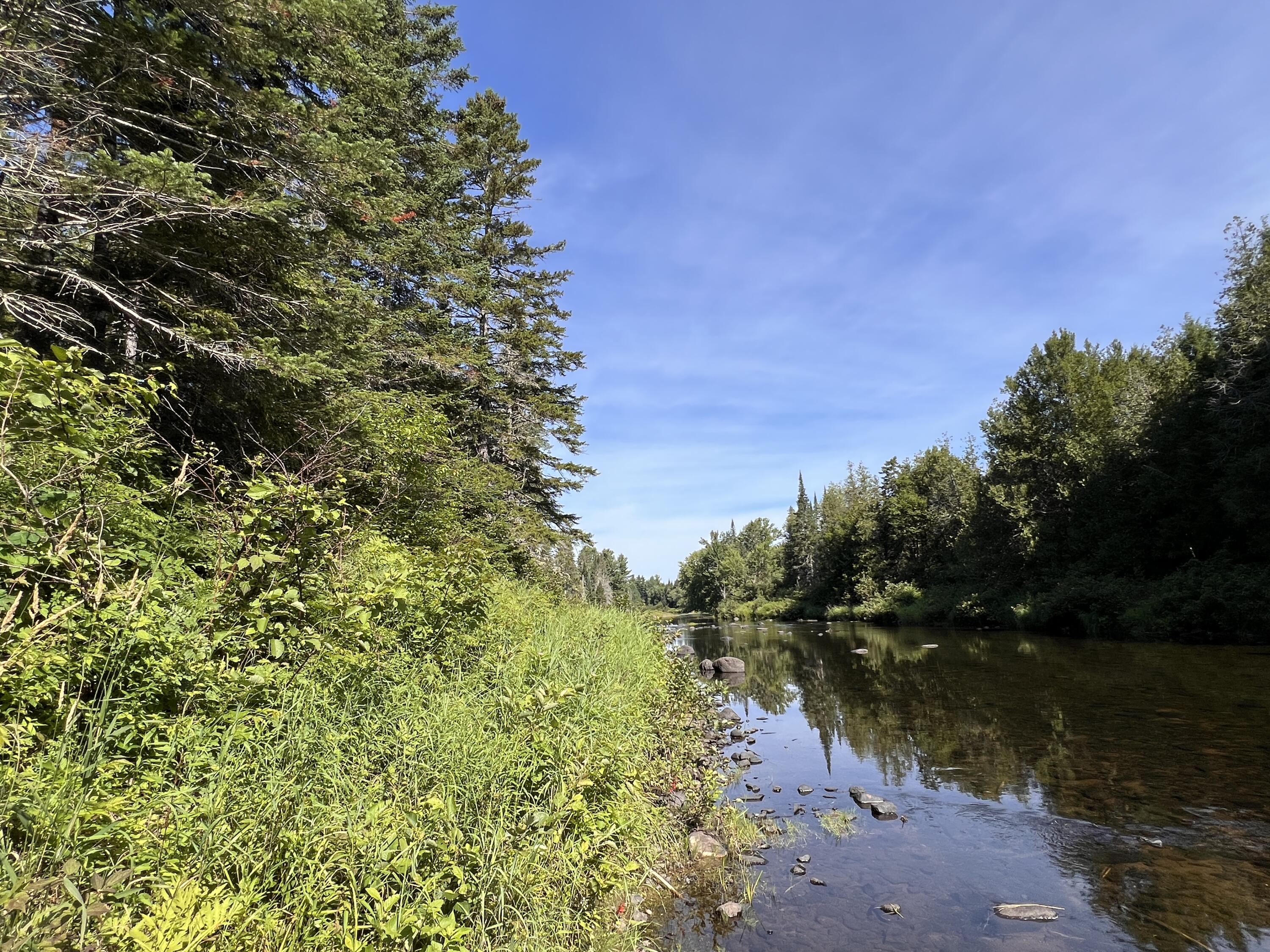 lot 6 & 8 Franklin Realty Road, Haynesville, ME 04497 IMG_4487