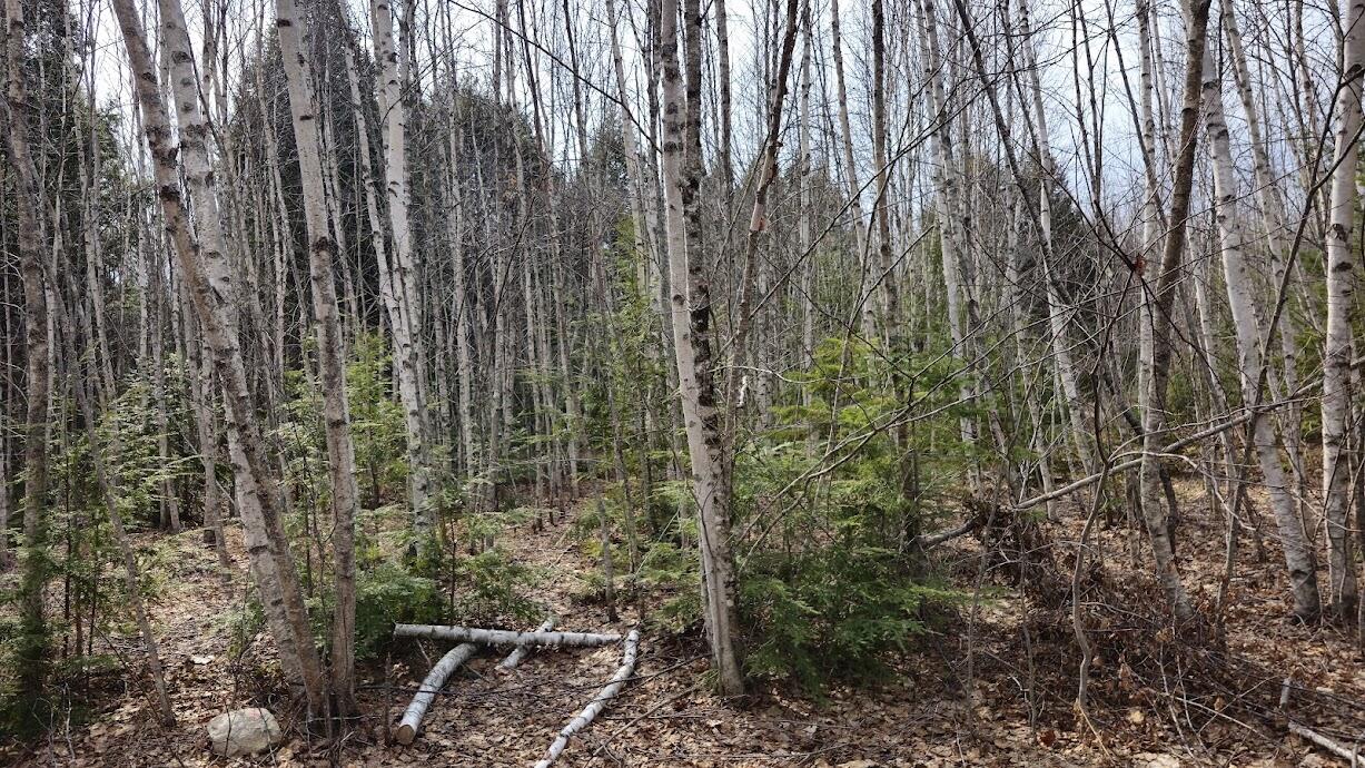 0 Woodland Drive UNIT 11, Carmel, ME, 04419