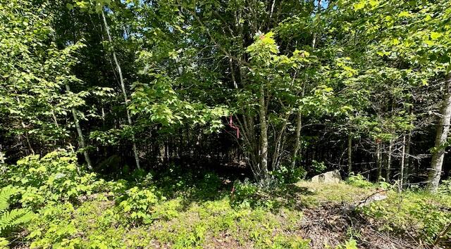 Lot UNIT&nbsp;4 Bonnie Way, Winterport, ME, 04496