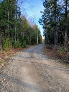 47 Hope Road, Newport, ME 04953 — photo 18