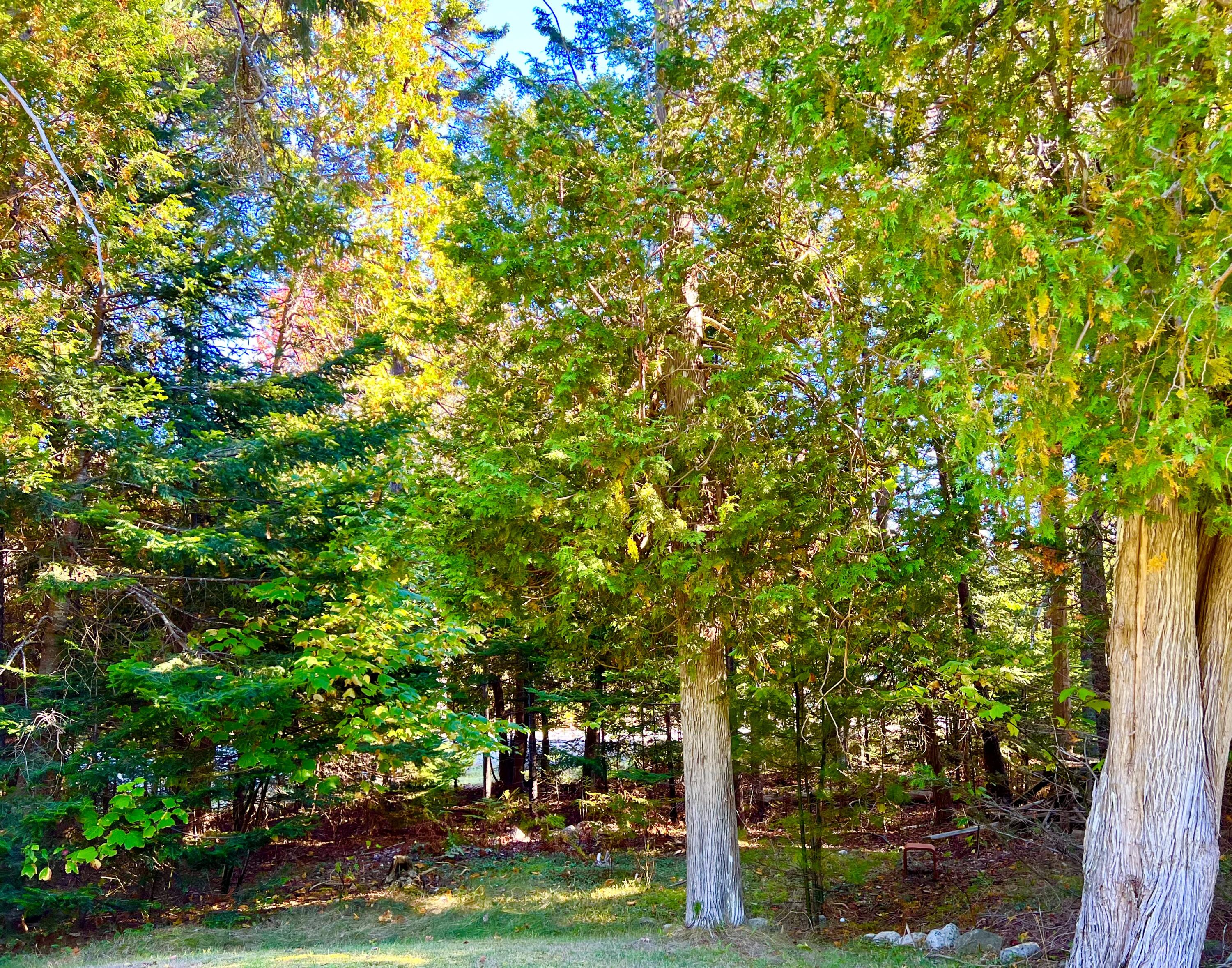 17 Freeman Ridge Road, Southwest Harbor, ME, 04679