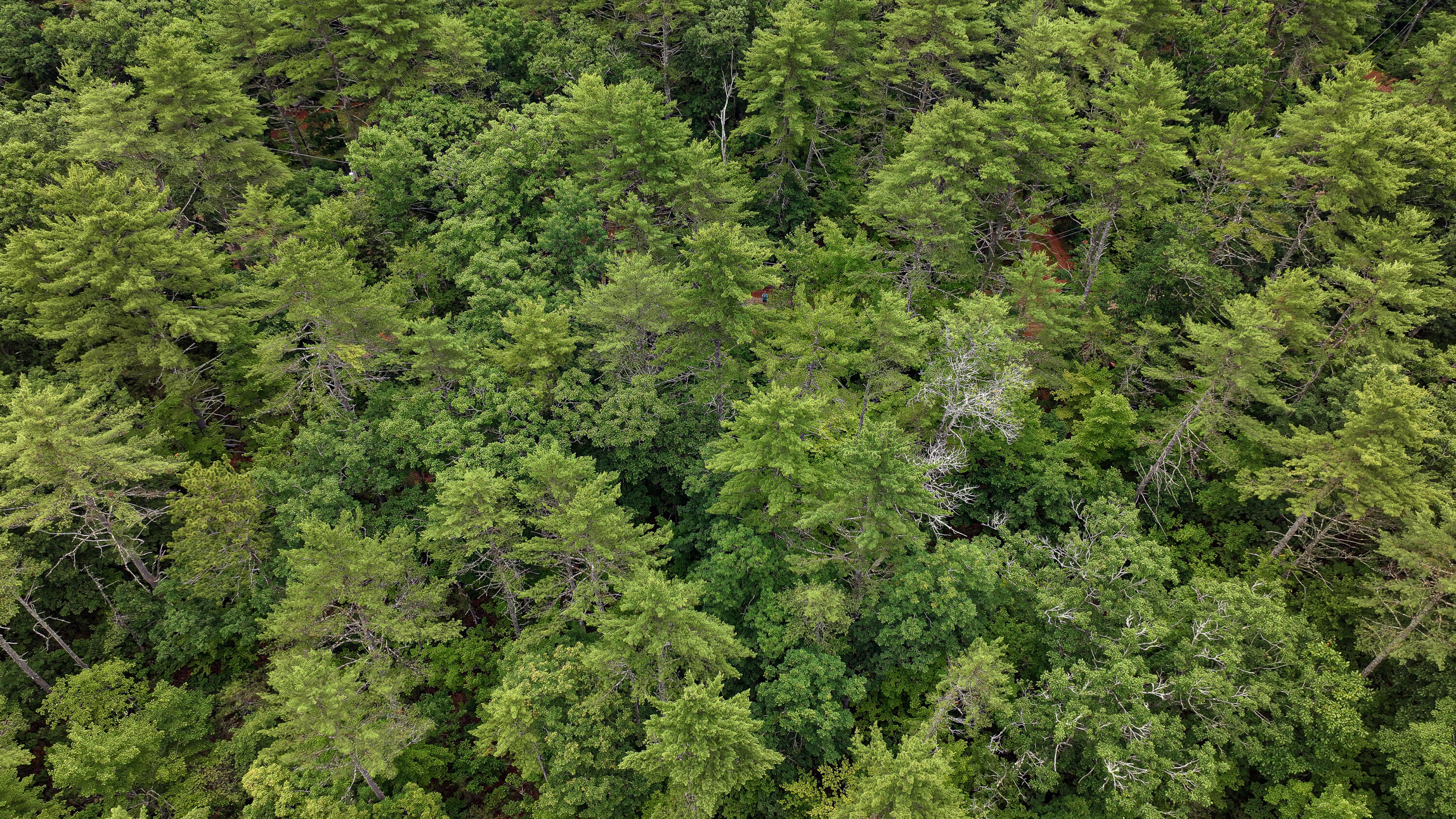 62-B Long Pond Drive, Denmark, ME, 04022