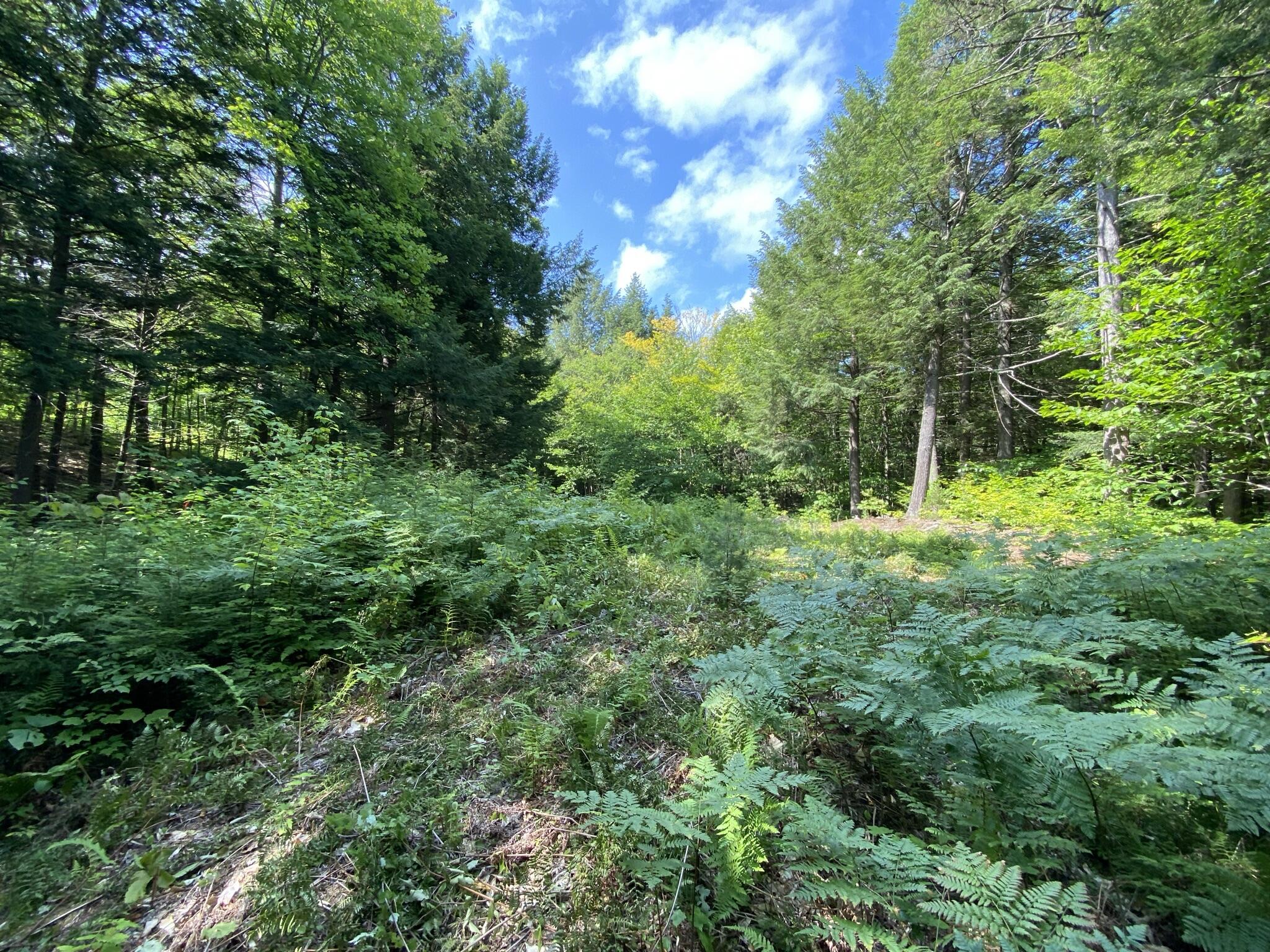 Lot 99 Douglas Road, Newry, ME, 04261
