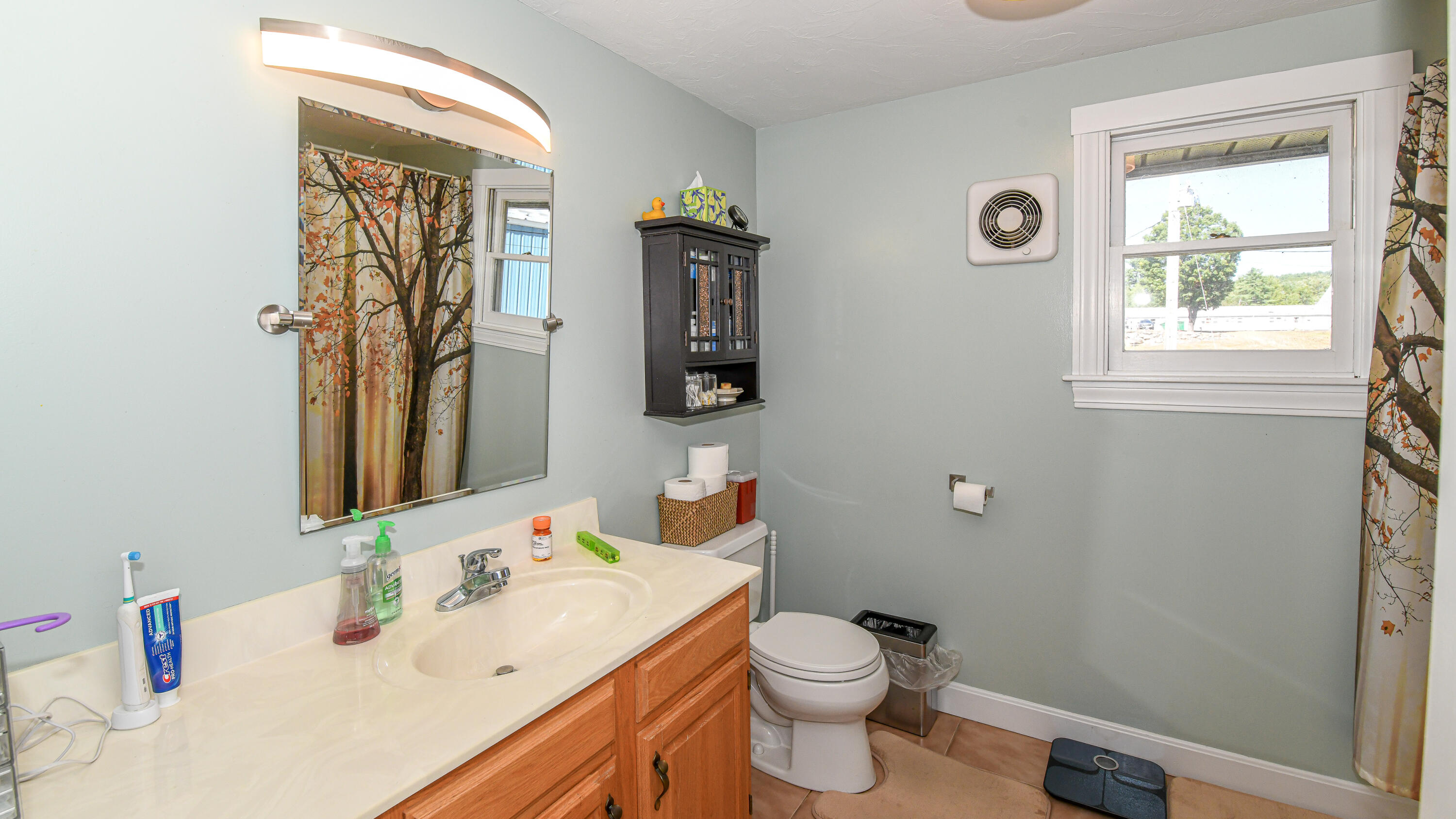 17 Dyvonne Terrace, Bridgton, ME, 04009