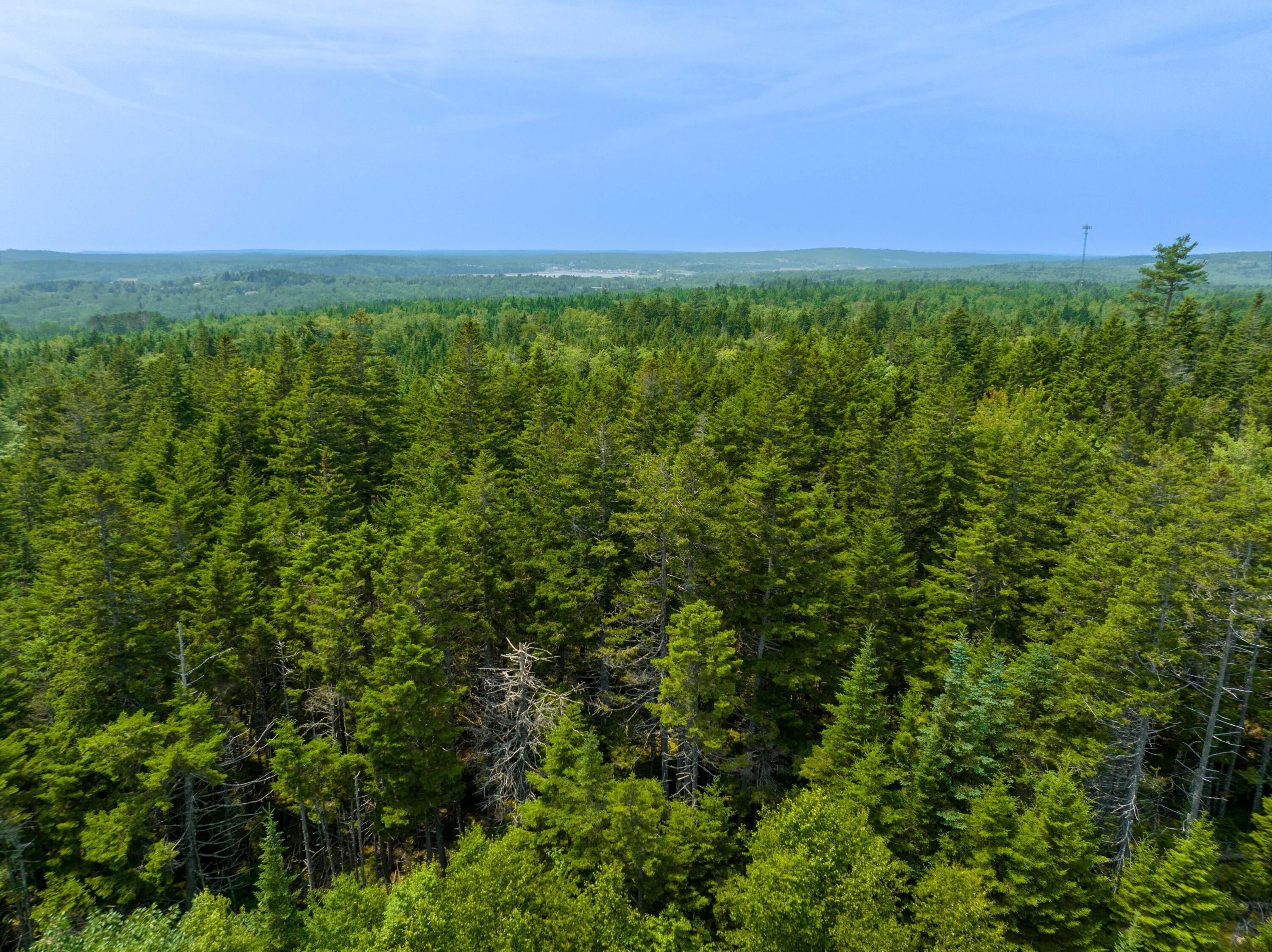 65 Lookout Mountain Road, East Machias, ME, 04630