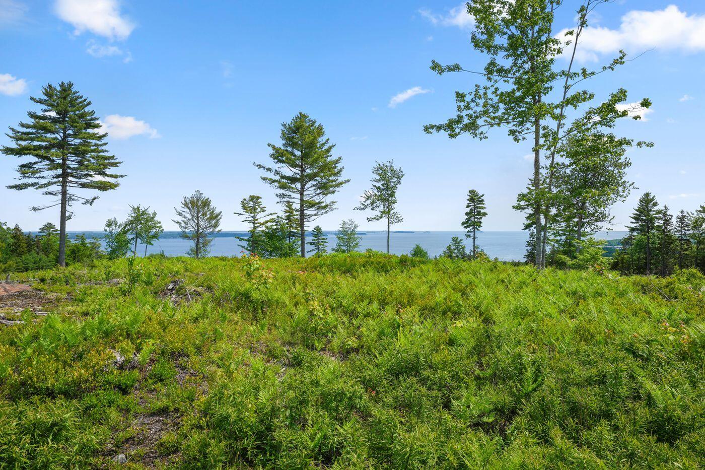 Lot 50-2 Serene Drive, Northport, ME, 04849