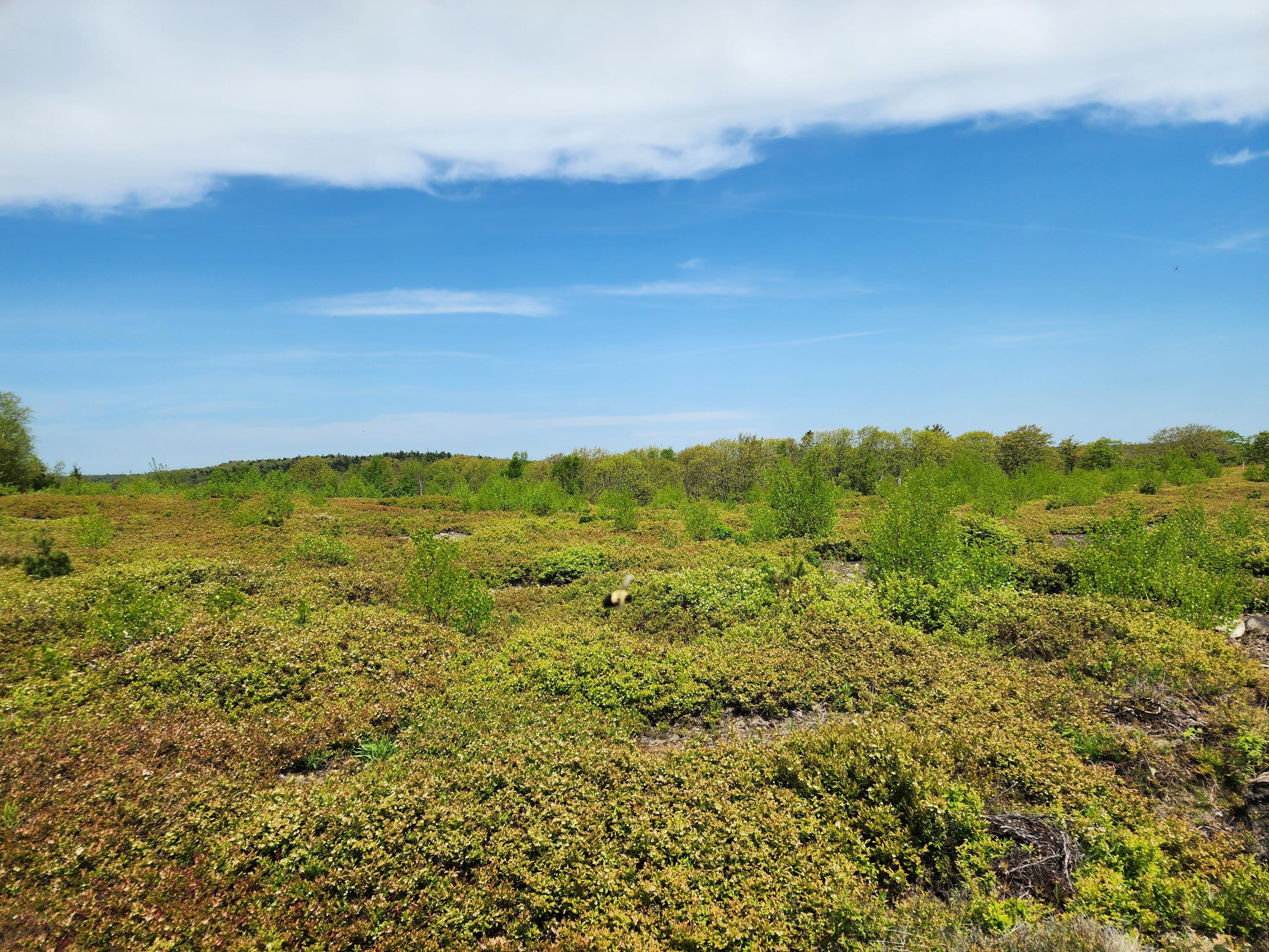 3 Whispering Berries Hill, Liberty, ME, 04949
