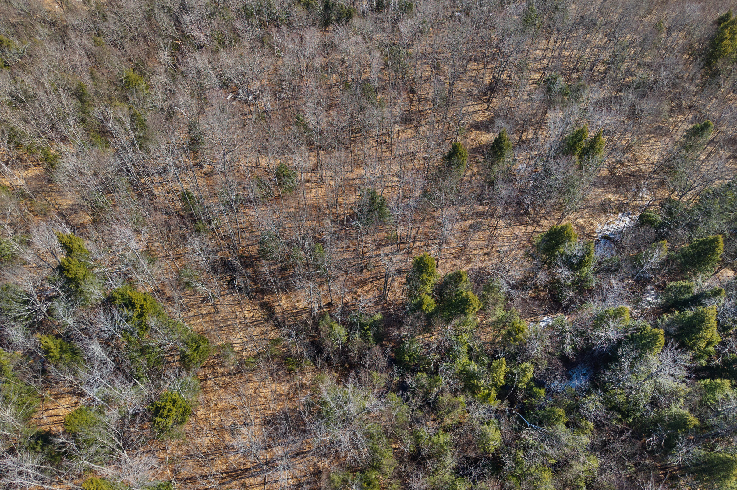 010 Main Street, Sumner, ME, 04220