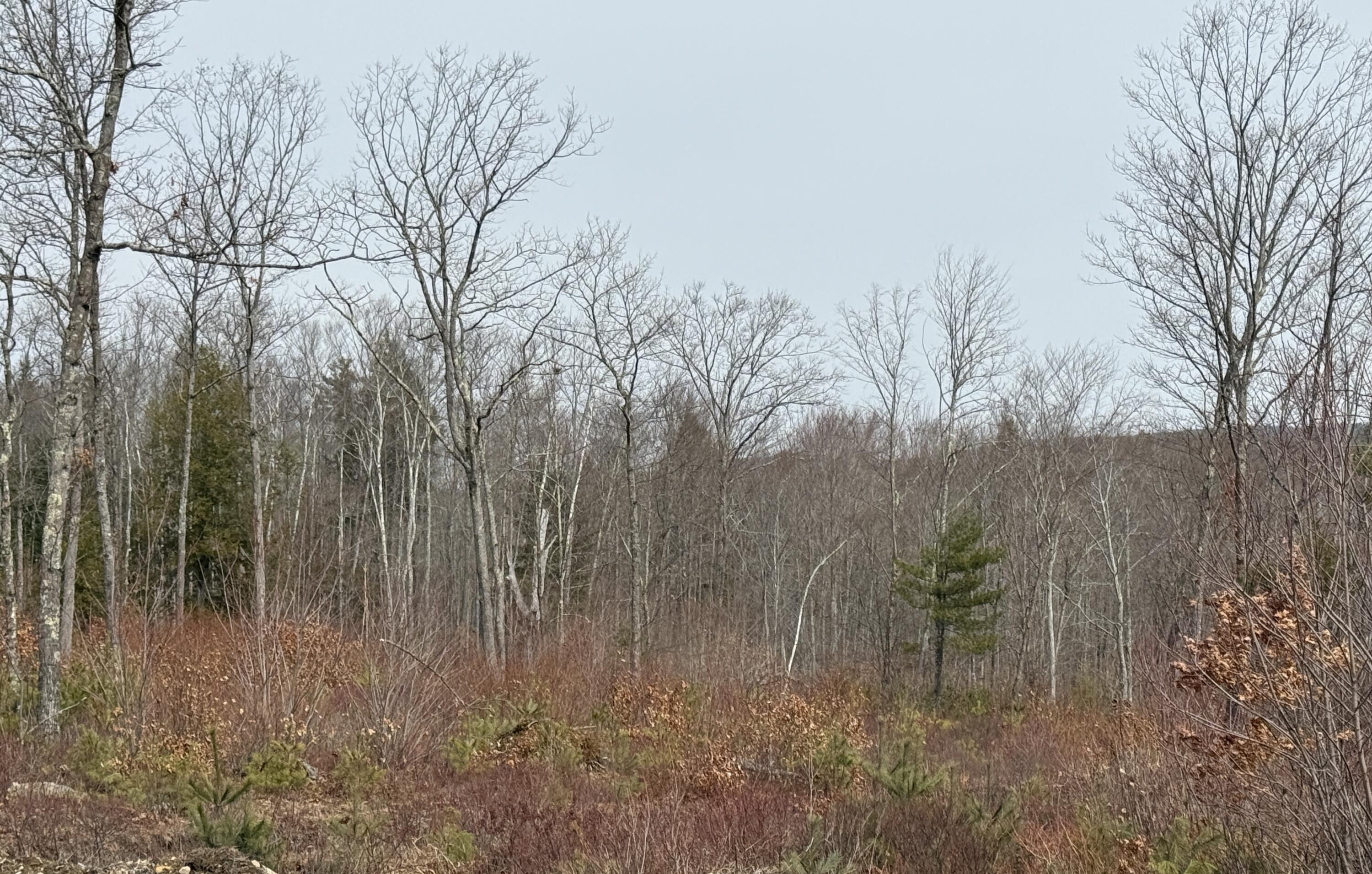 Lot A8 West Road, Waterboro, ME, 04087