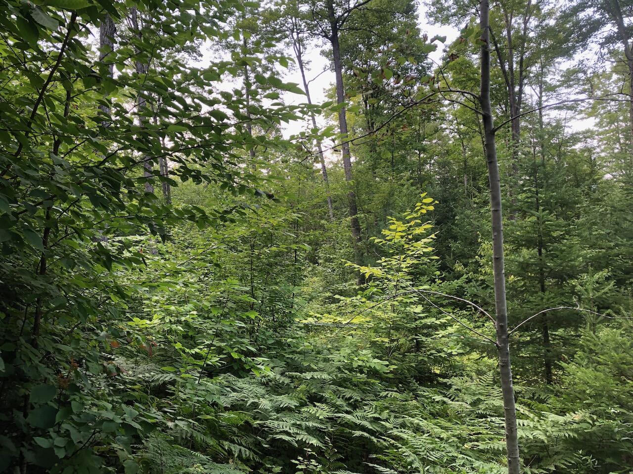 06 Swett Brook Lane, Weld, ME, 04285