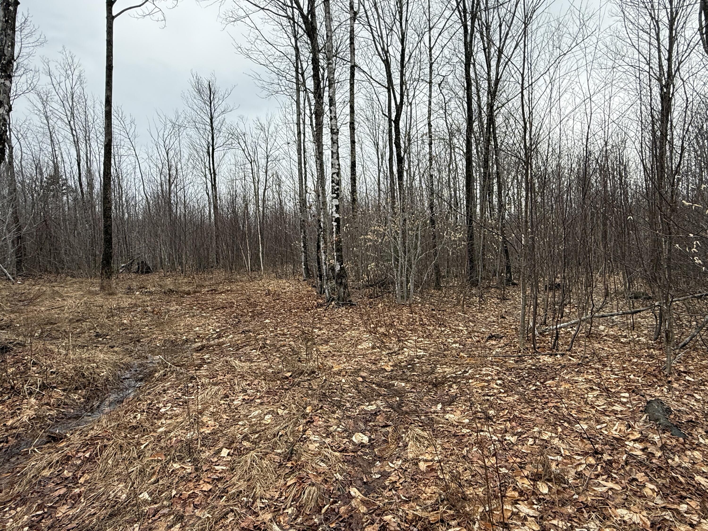 Lot 13W Mountain View Drive, Temple, ME, 04984