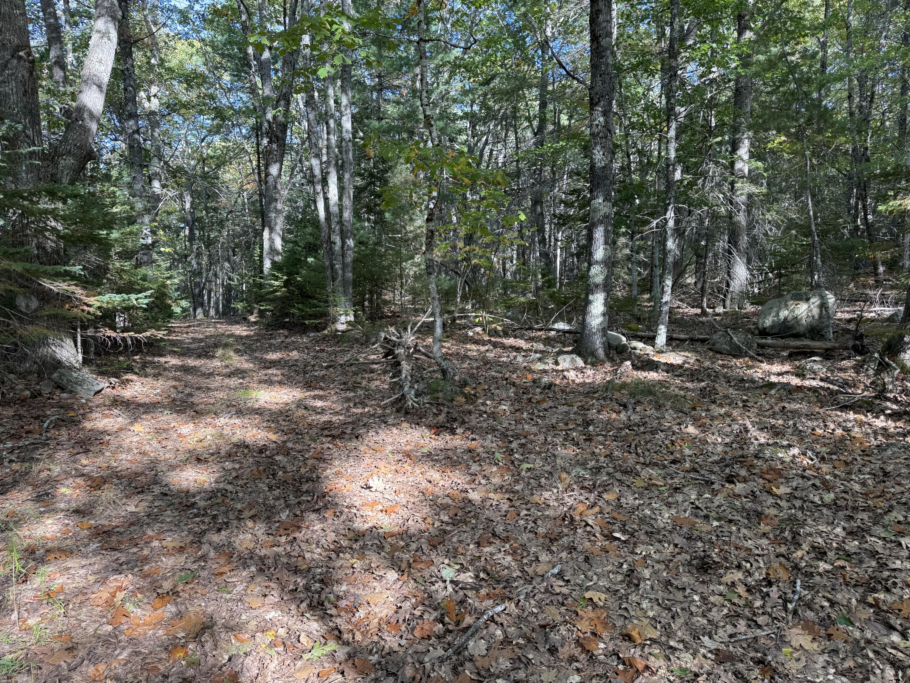 63-3 Oak Grove Road, Mount Desert, ME, 04660