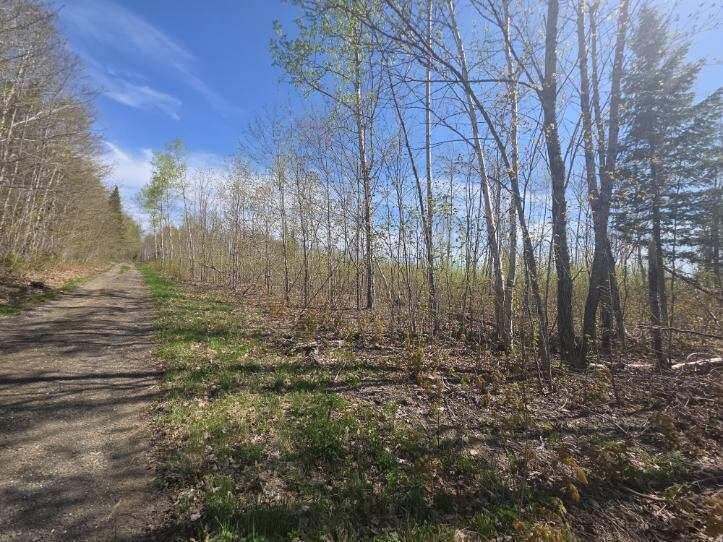Map4Lot4B Off Conroy Road, Perham, ME, 04766