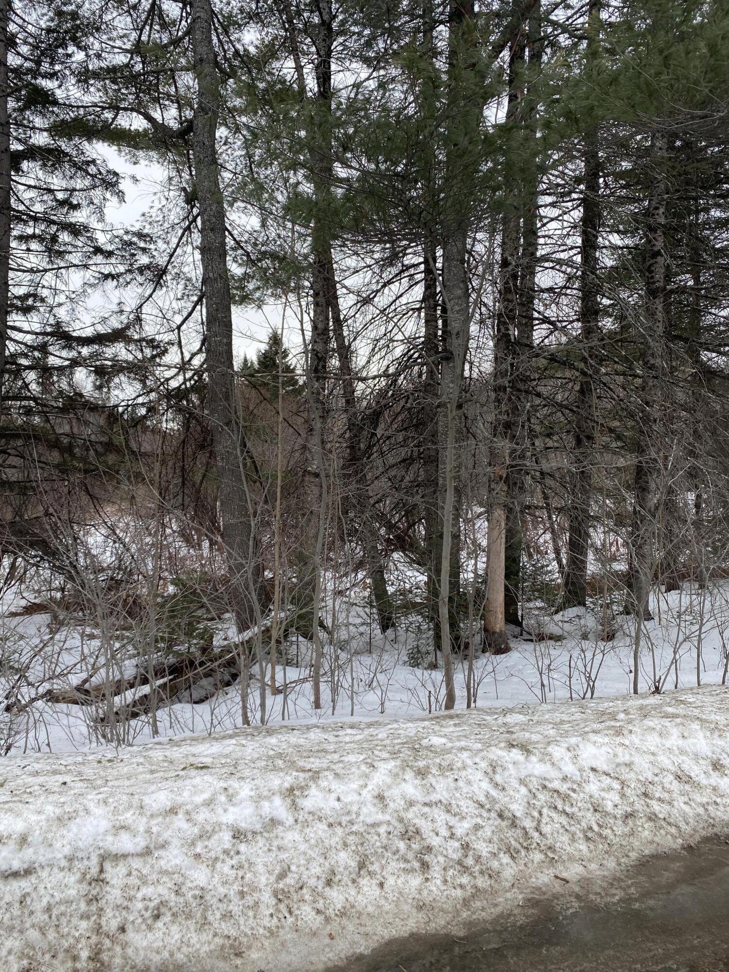 Search Homes for Sale