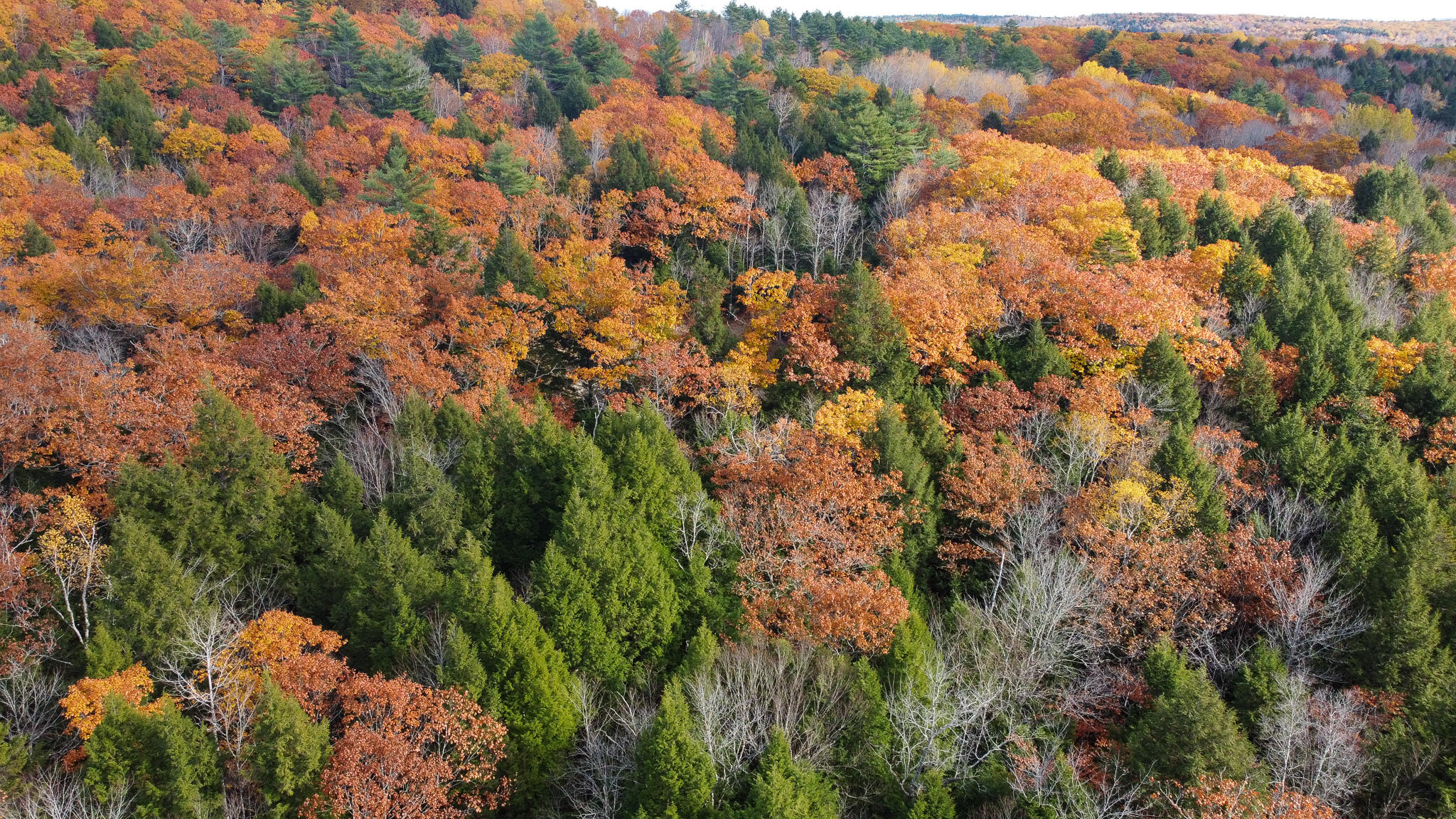 Lot 2 Darci Lane, Montville, ME, 04941