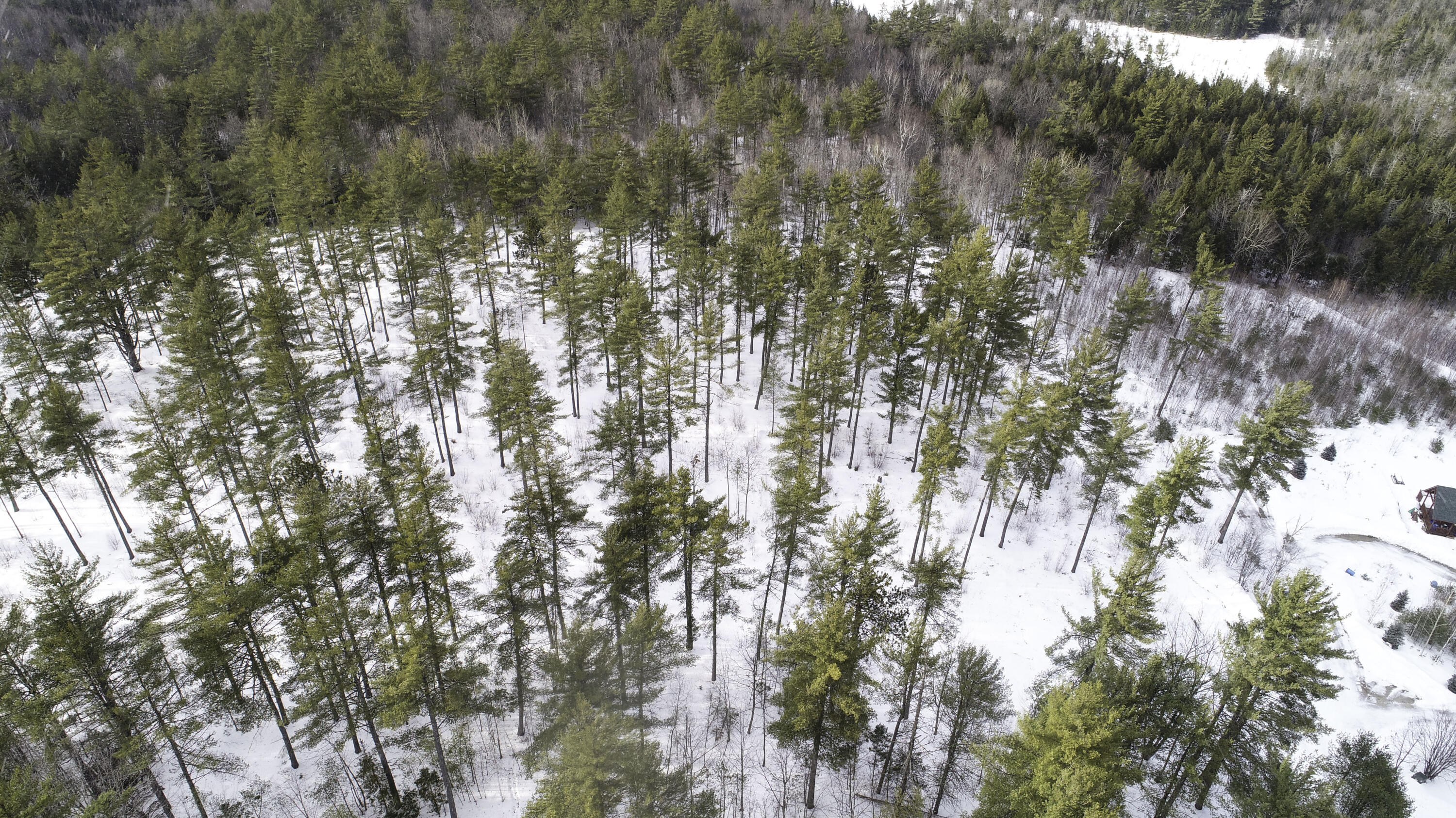 Lot 1 Lyman Wheeler Road, Bethel, ME, 04217