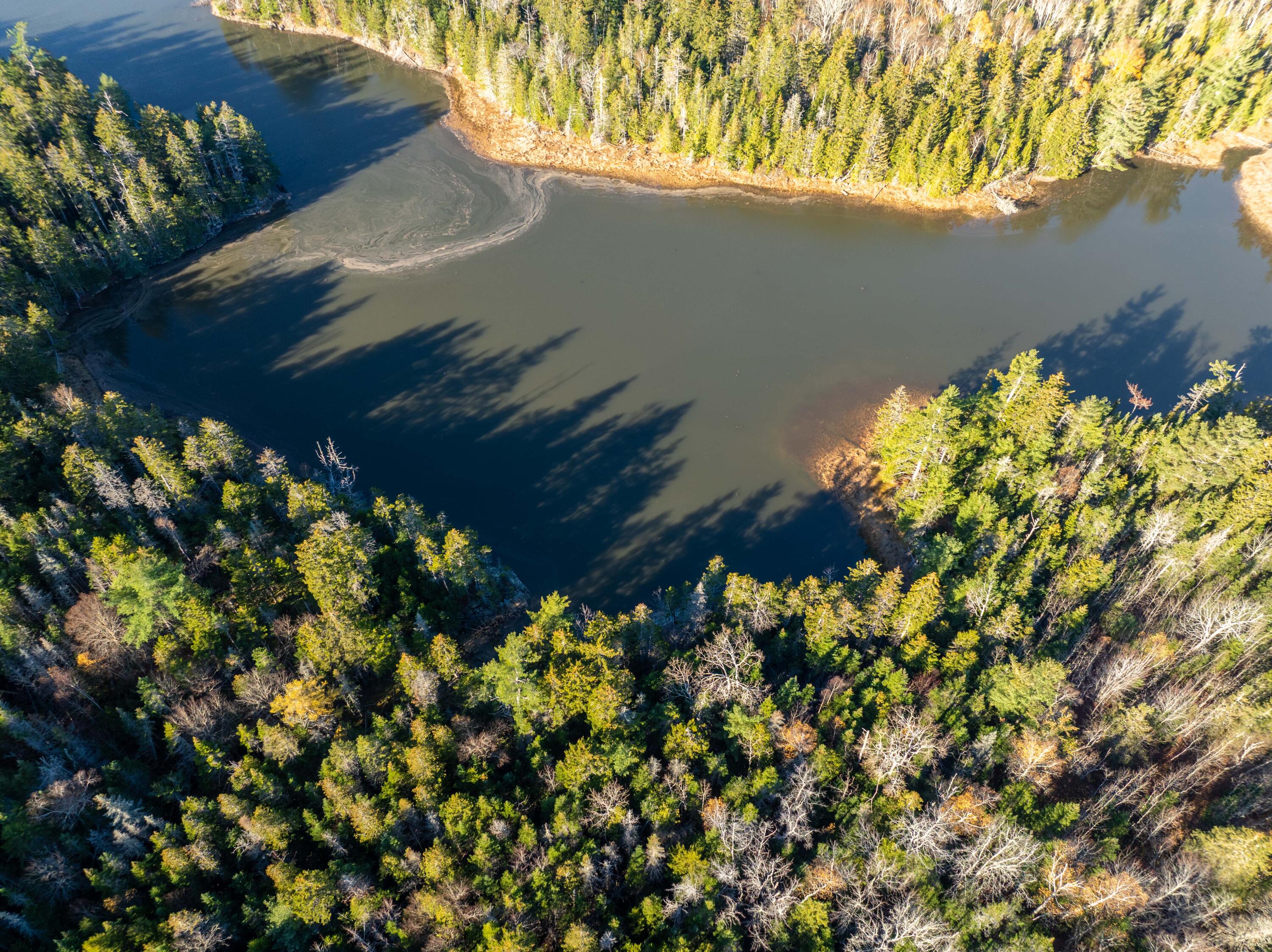 01-4 WA035, Trescott Twp, ME, 04652