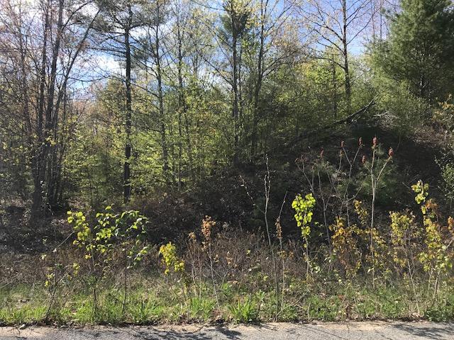 Lot 12 Prokey Drive, Limerick, ME, 04048
