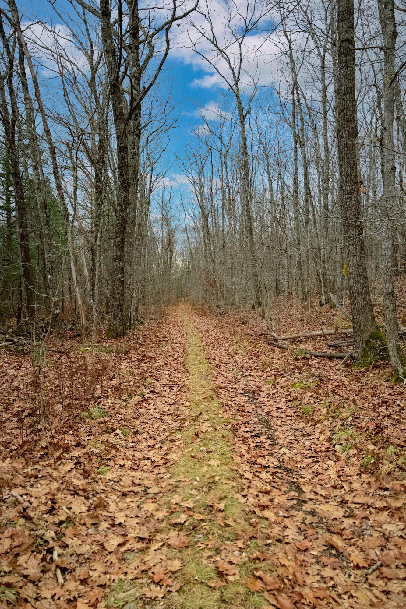 Lot 151 Dunbar Road, Thomaston, ME, 04861