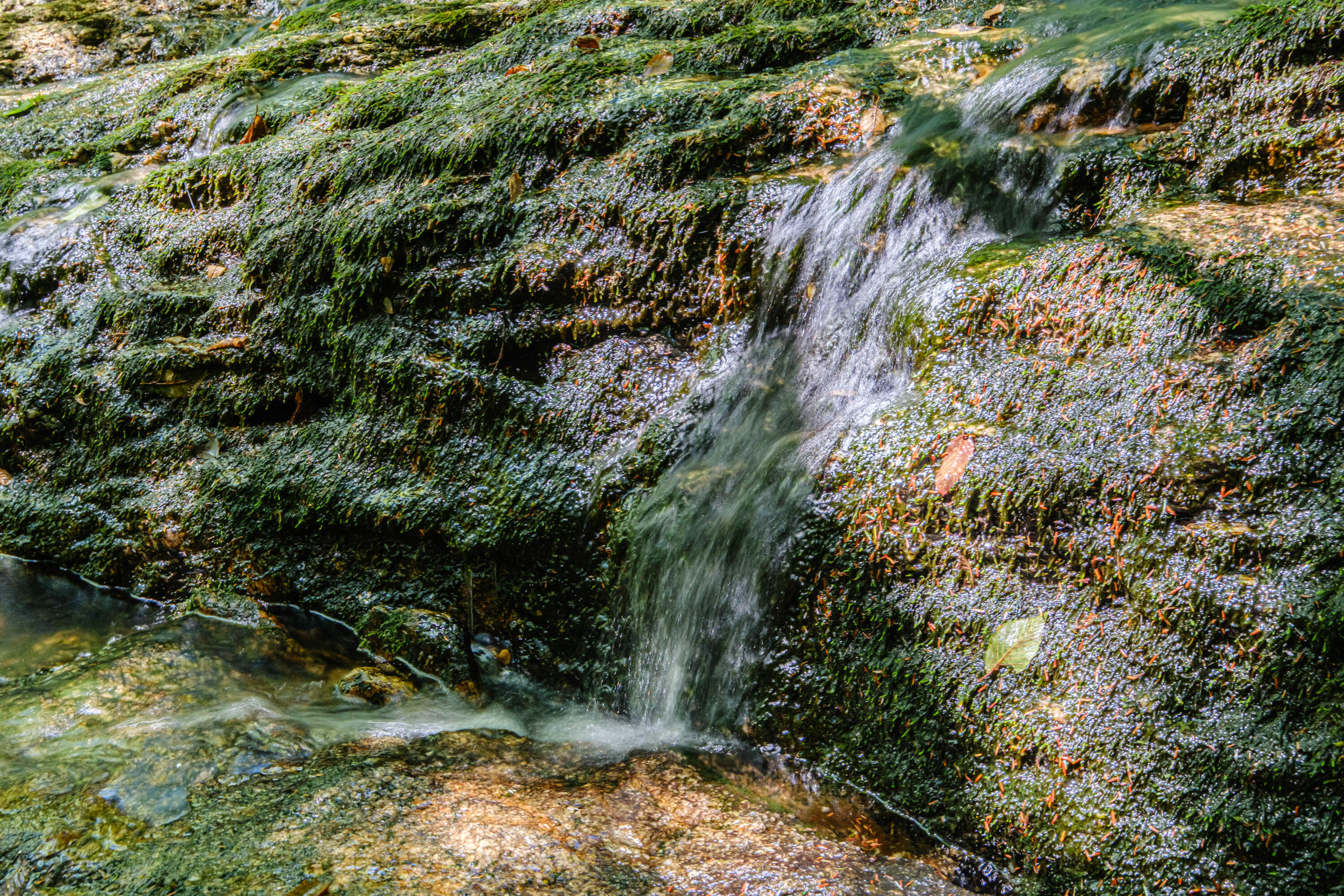 366 Glades View Avenue, Newry, ME, 04261