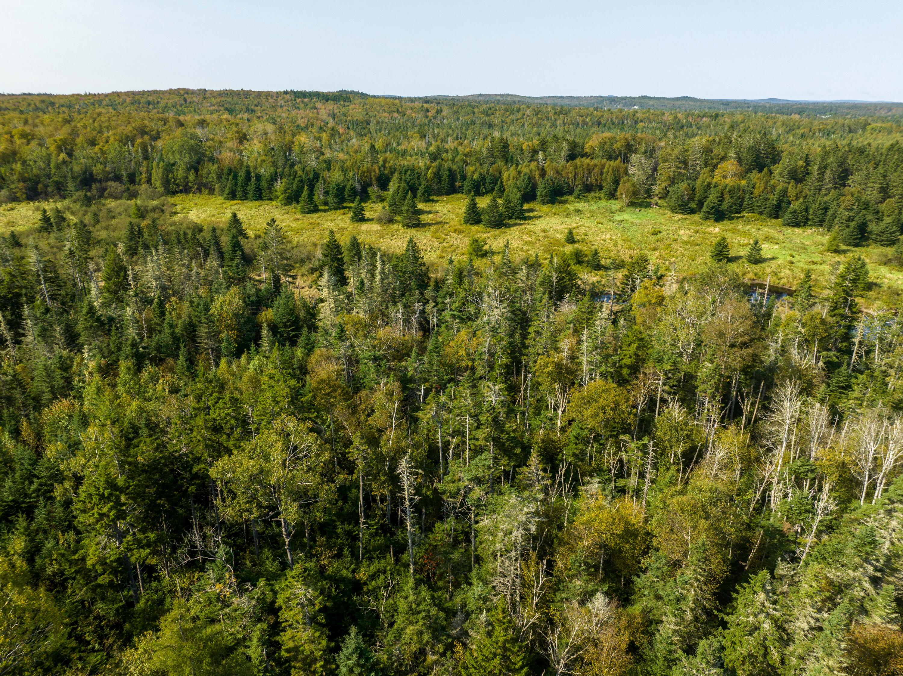 117 Denbow Road, Lubec, ME, 04652