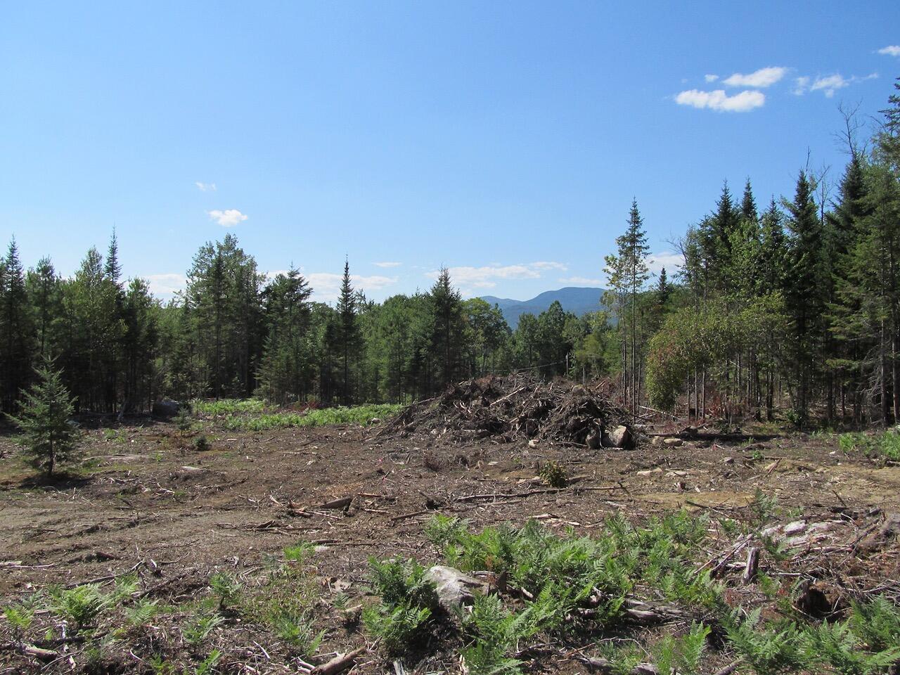 929 Center Hill Road Road, Weld, ME, 04285