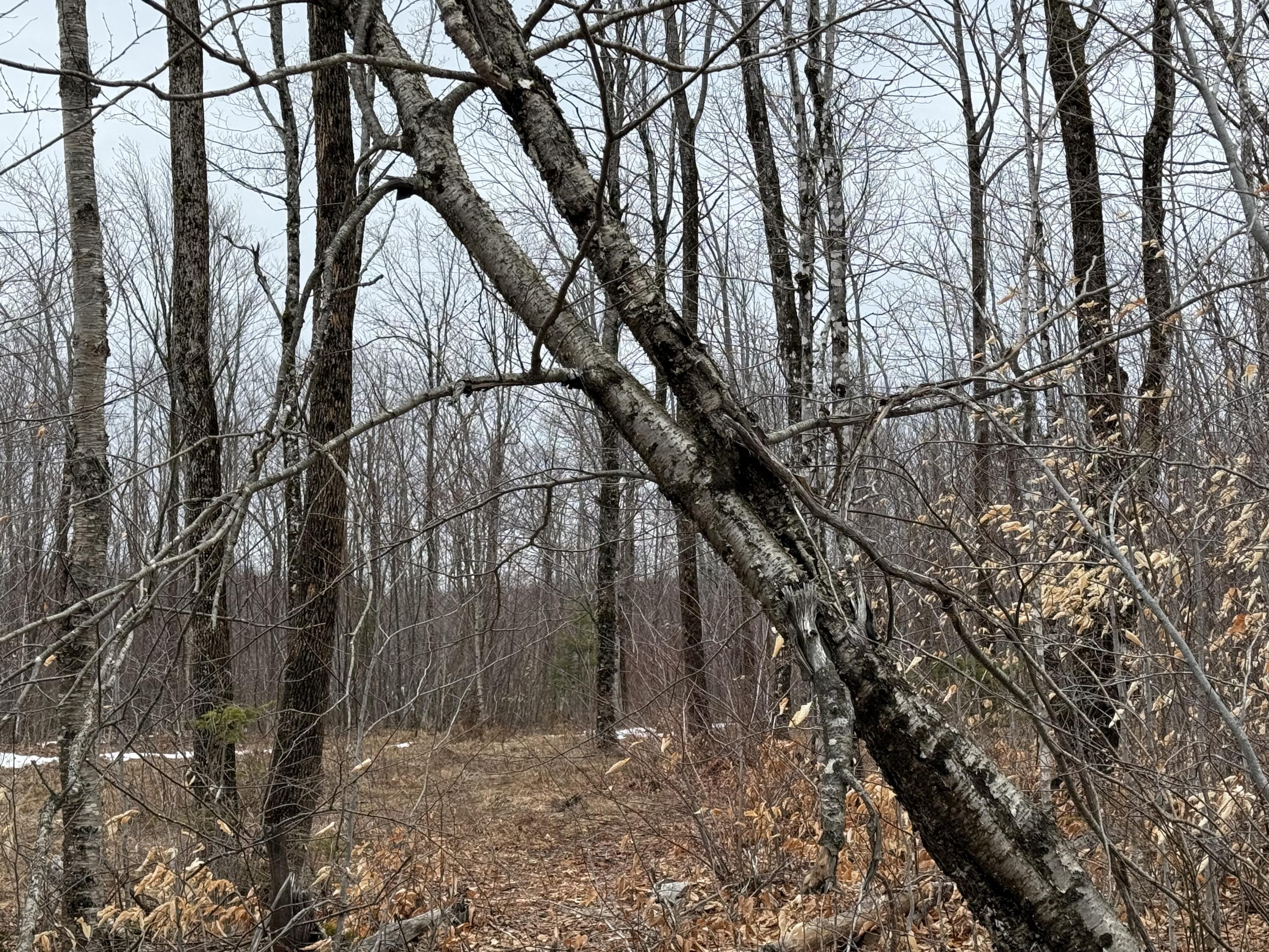 Lot 13W Mountain View Drive, Temple, ME, 04984