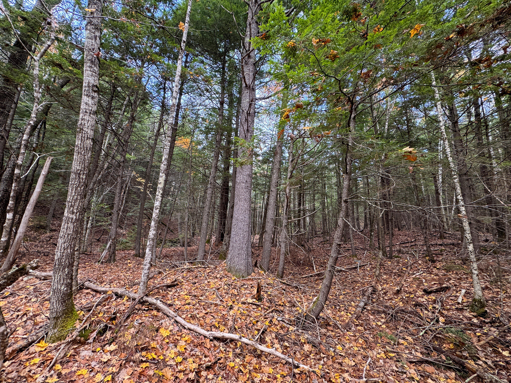 Lot 2 Darci Lane, Montville, ME, 04941