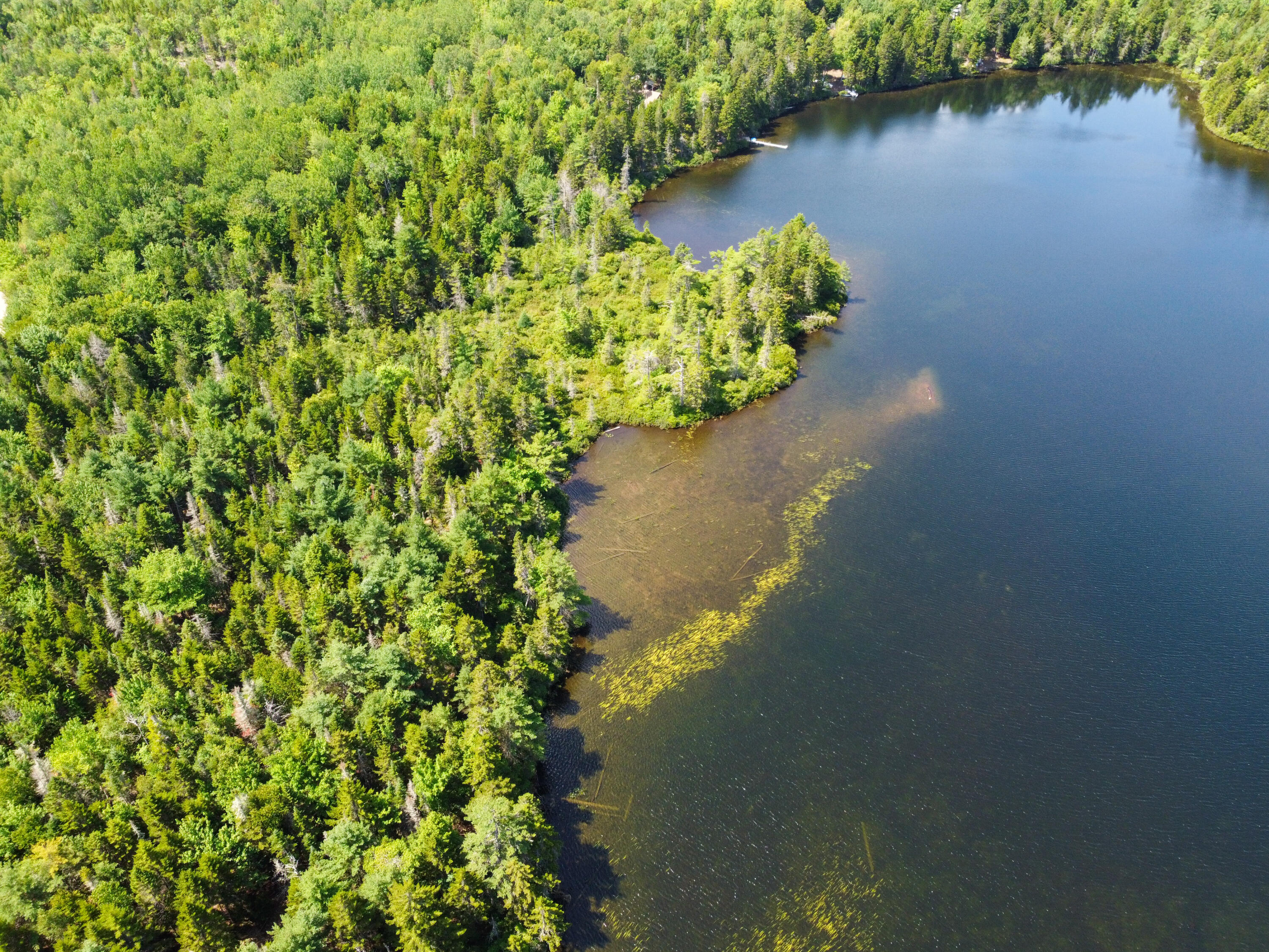 Photo of Lot 6 Goulding Lake Road Robbinston ME 04671