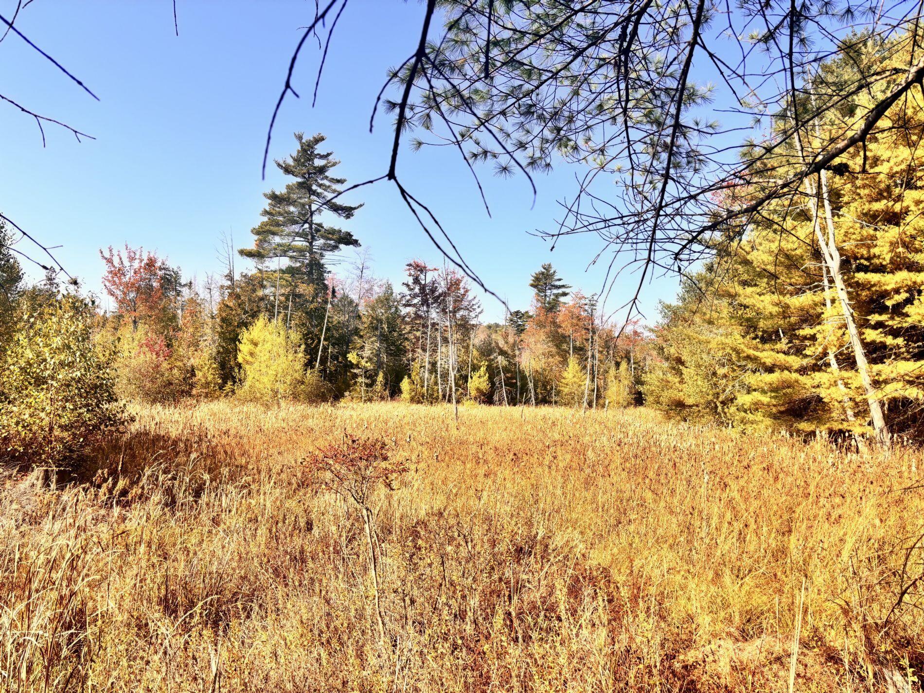 150 Bowden Point Road, Prospect, ME, 04981