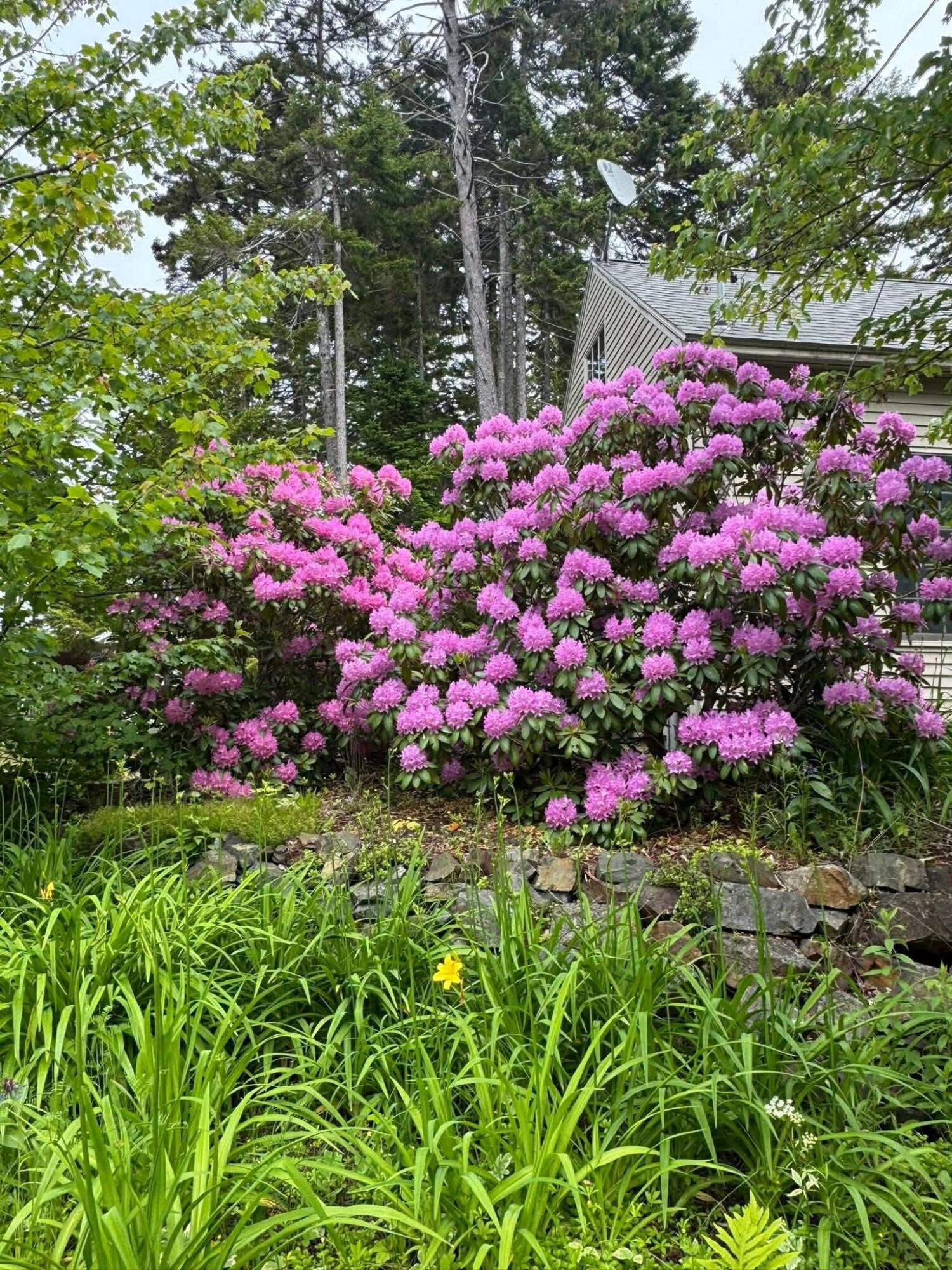 Undisclosed Address, Whiting, ME, 04691