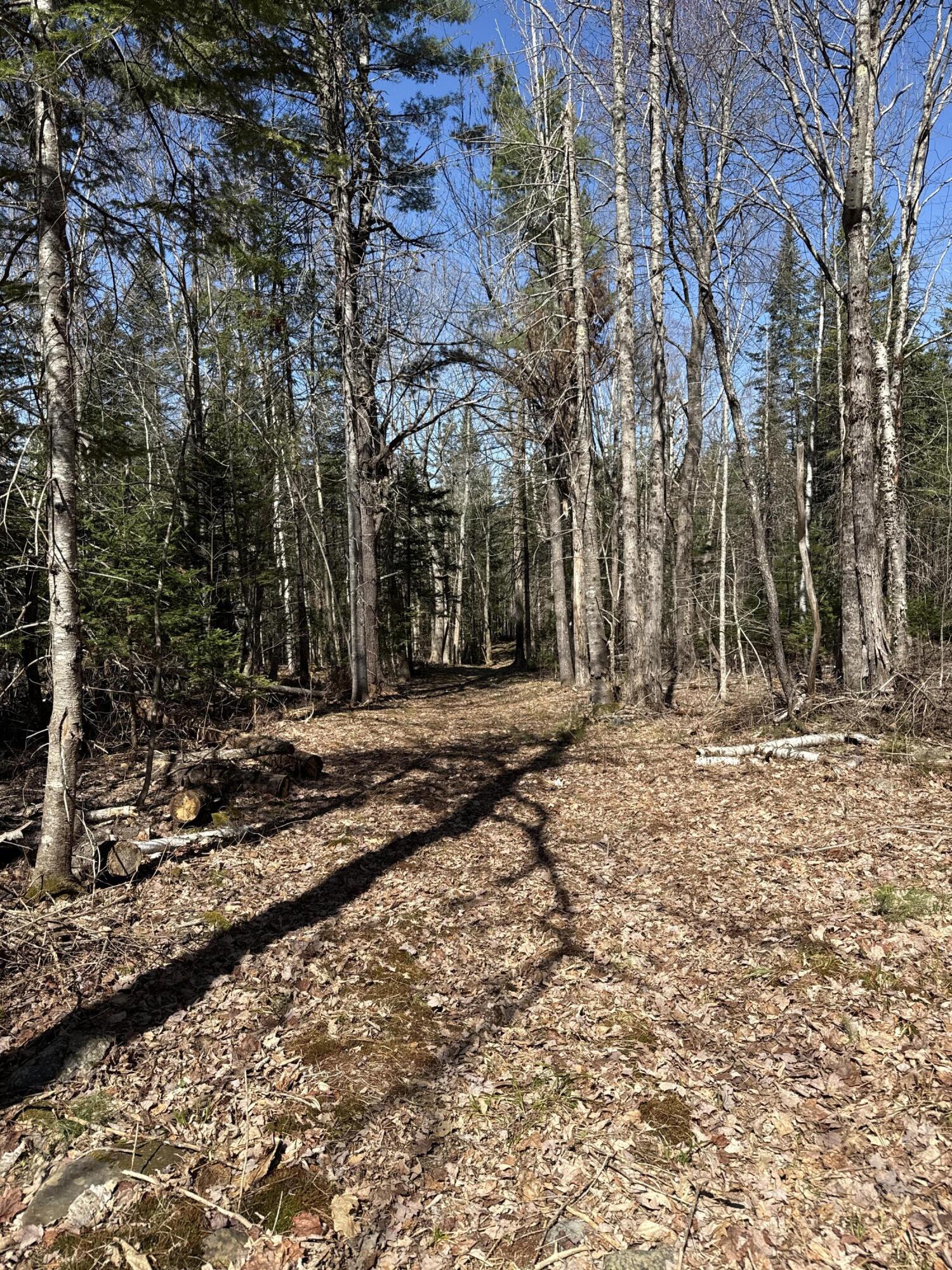 Lot 016-01 142 Old Fisher Rd Road, Holden, ME, 04429