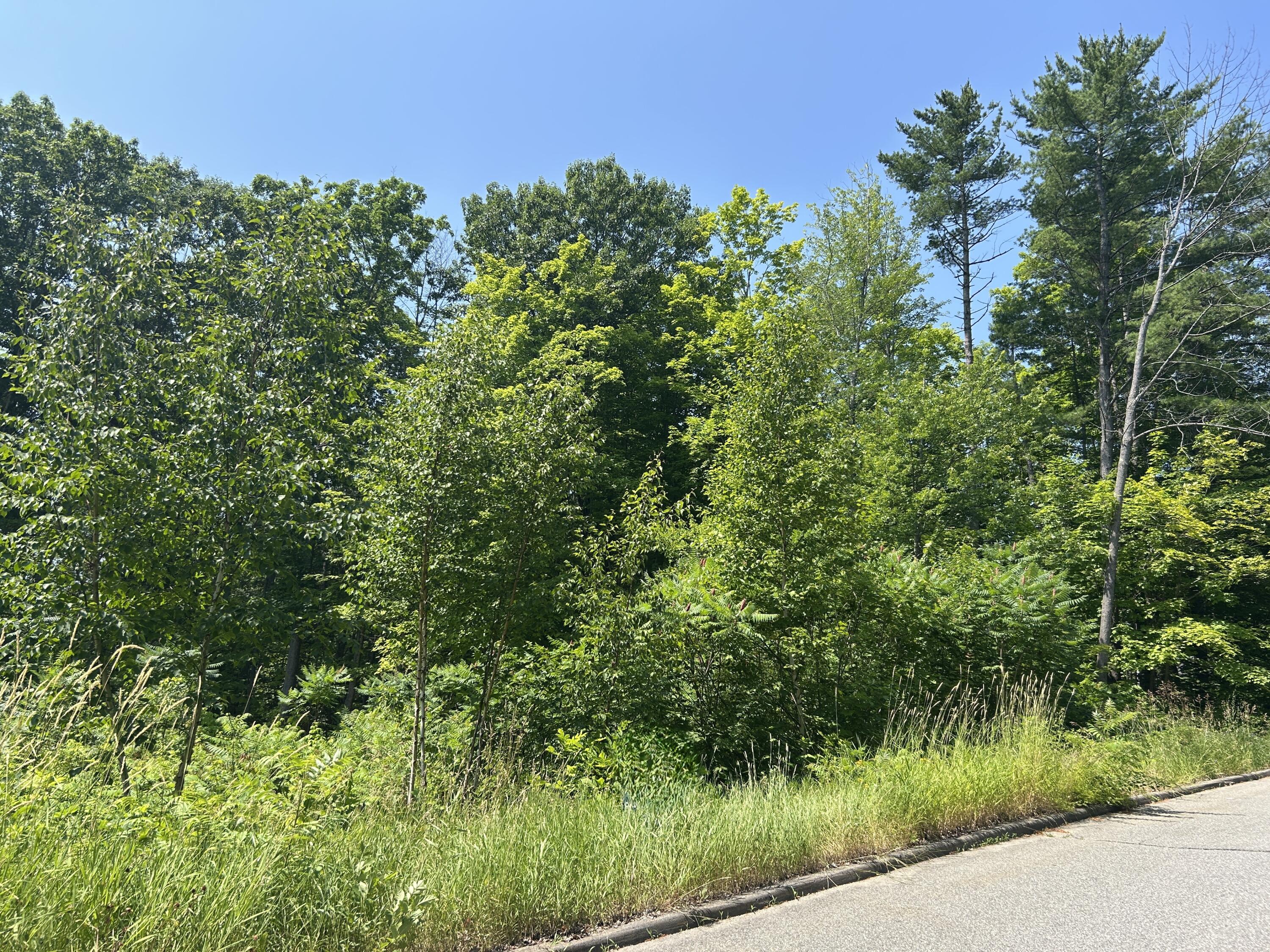 44 Barnet Ave land