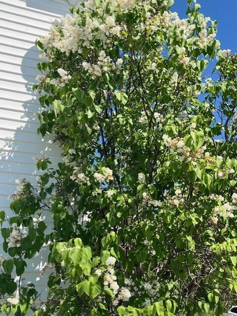 38 Kuvaja Road, Greenwood, ME, 04255