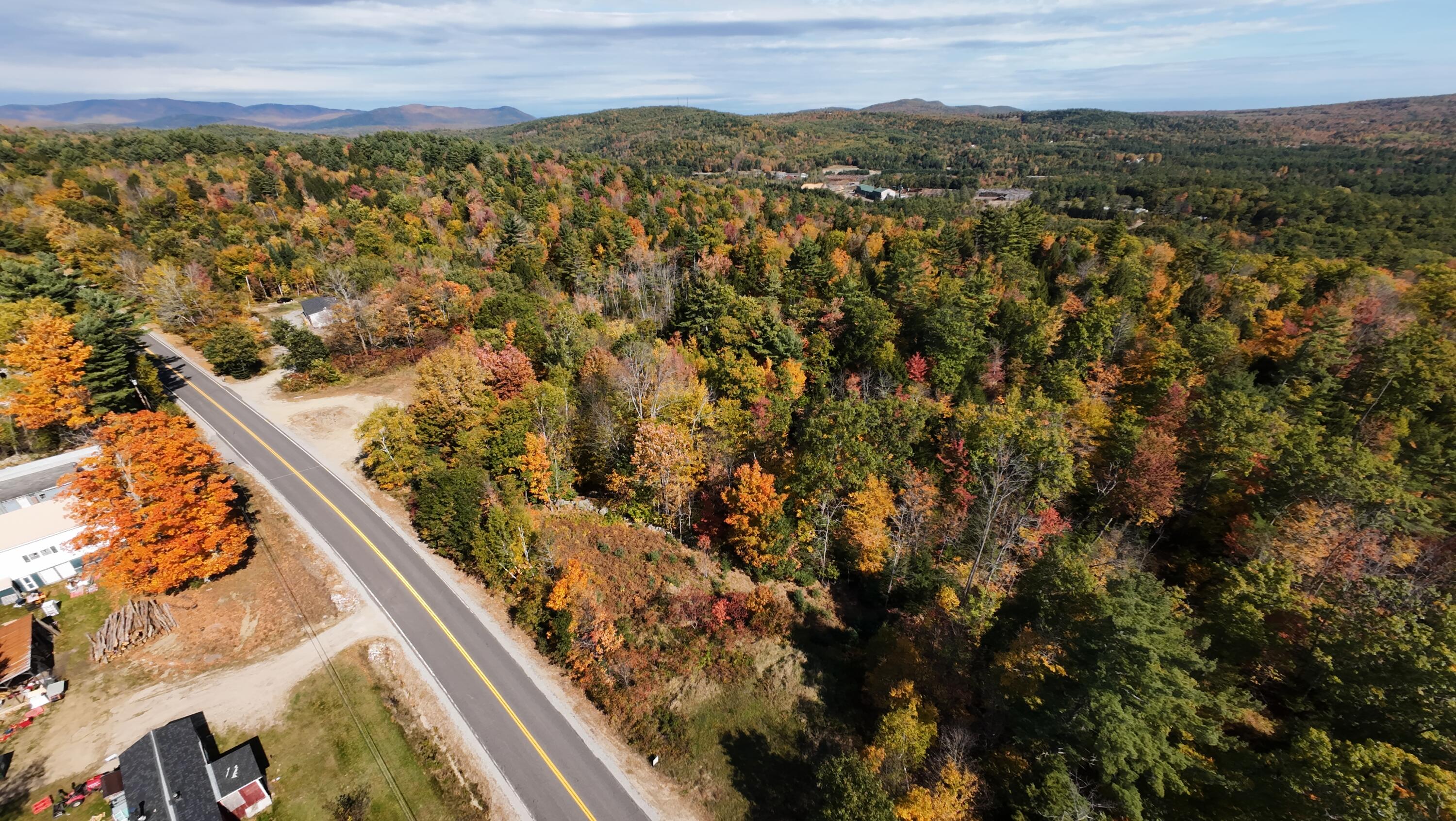RIght side of road with the clearing and beyond.