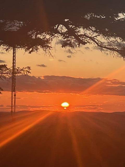 533 Mount Ephraim Map 4 Lot 63 Road, Searsport, ME, 04974