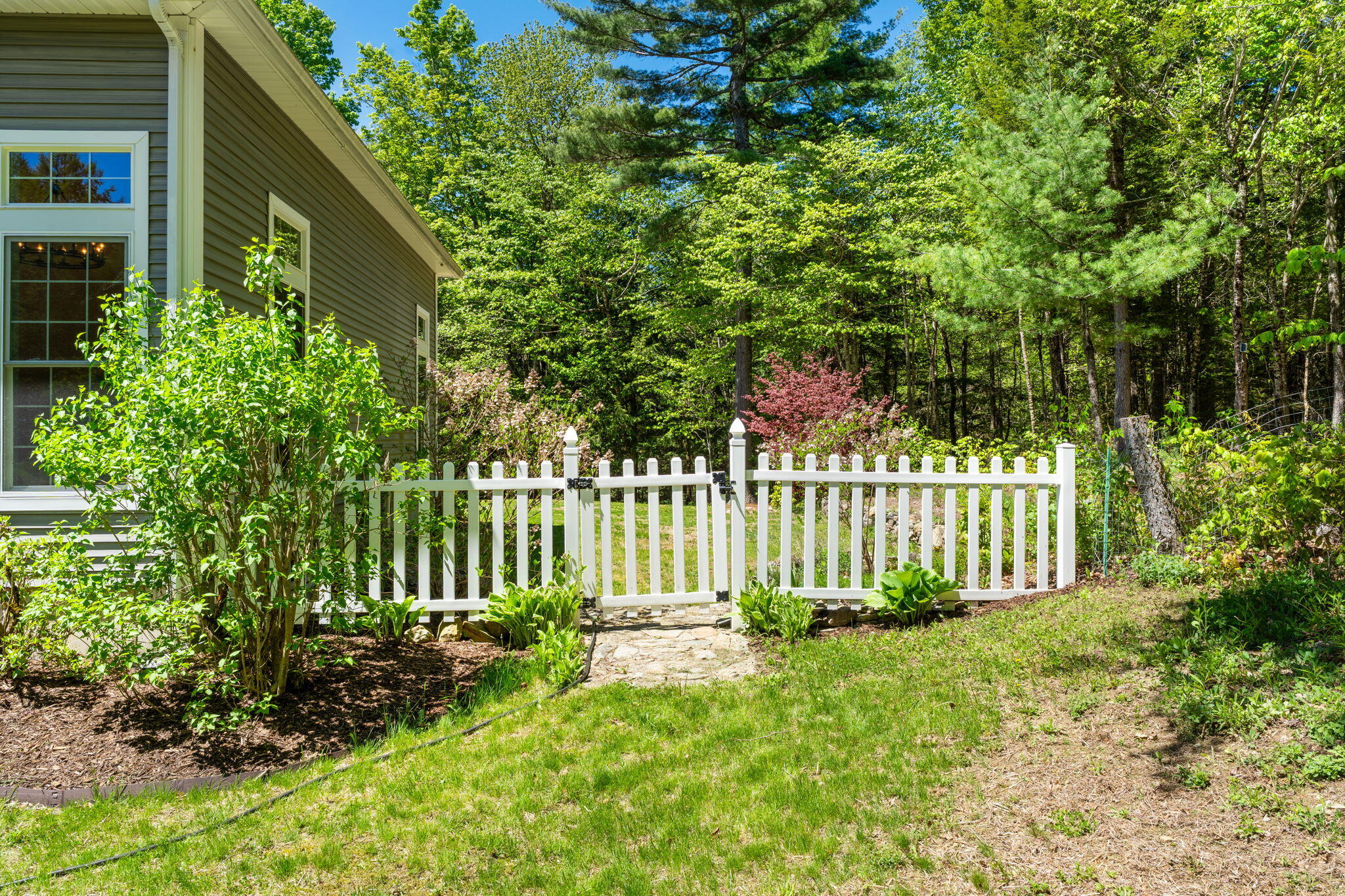 50-web-or-mls-DSC09524