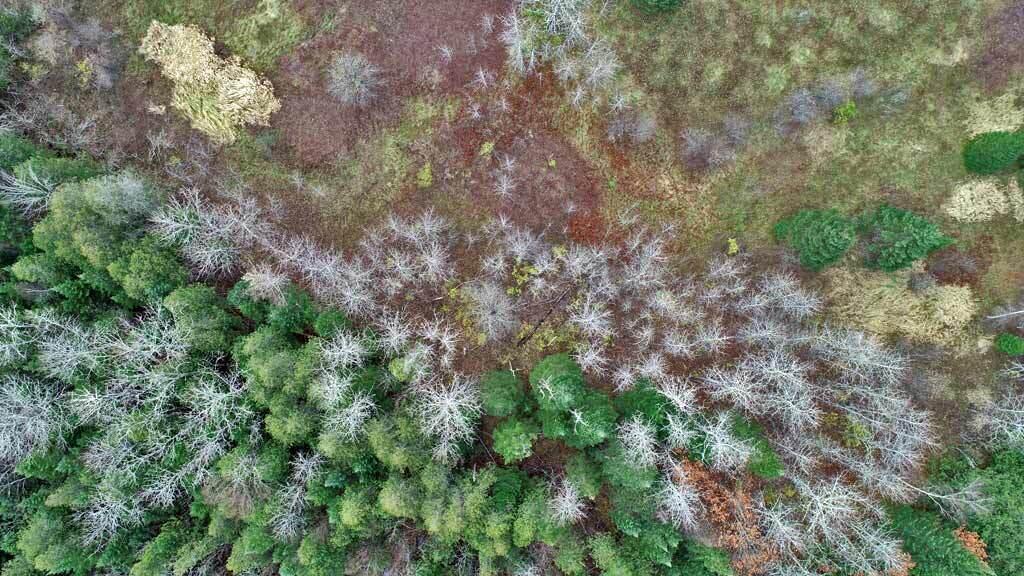 Lot 18 US RT 2 Highway, Sherman, ME, 04776