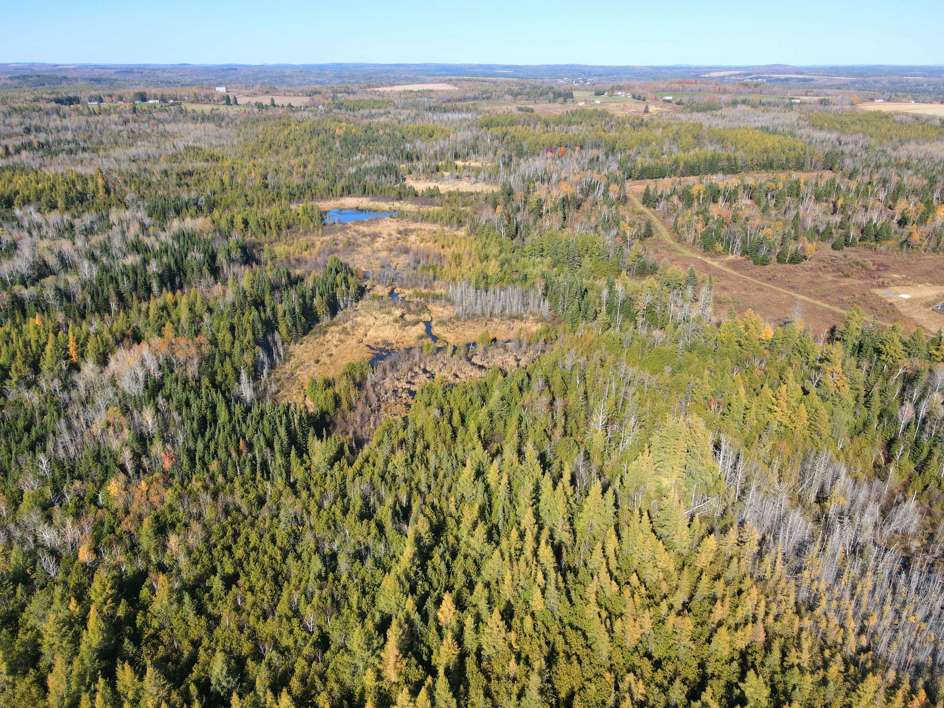 481 Plante Road, Caribou, ME, 04736