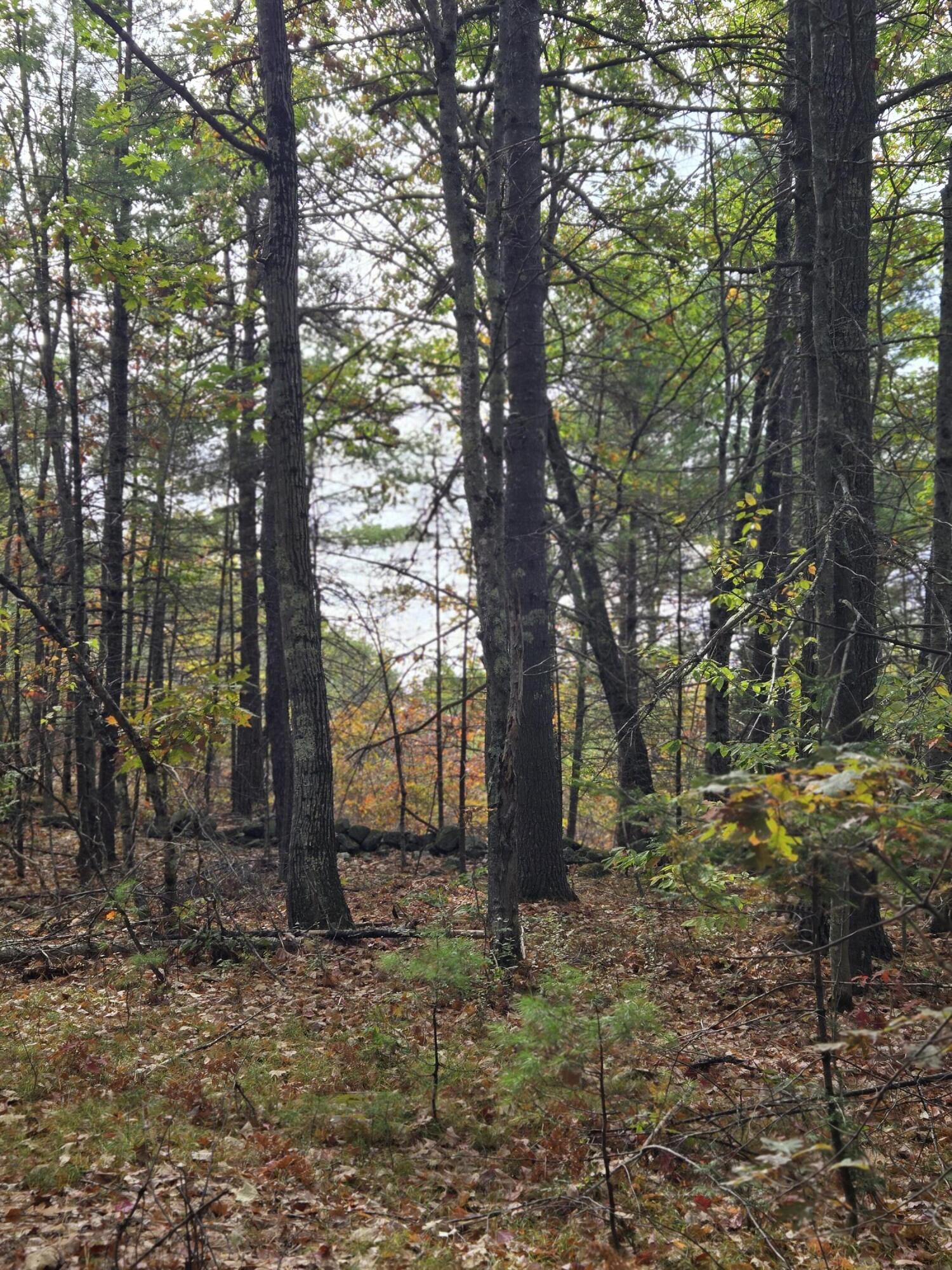 133 Plantation Lane, Brownfield, ME, 04010