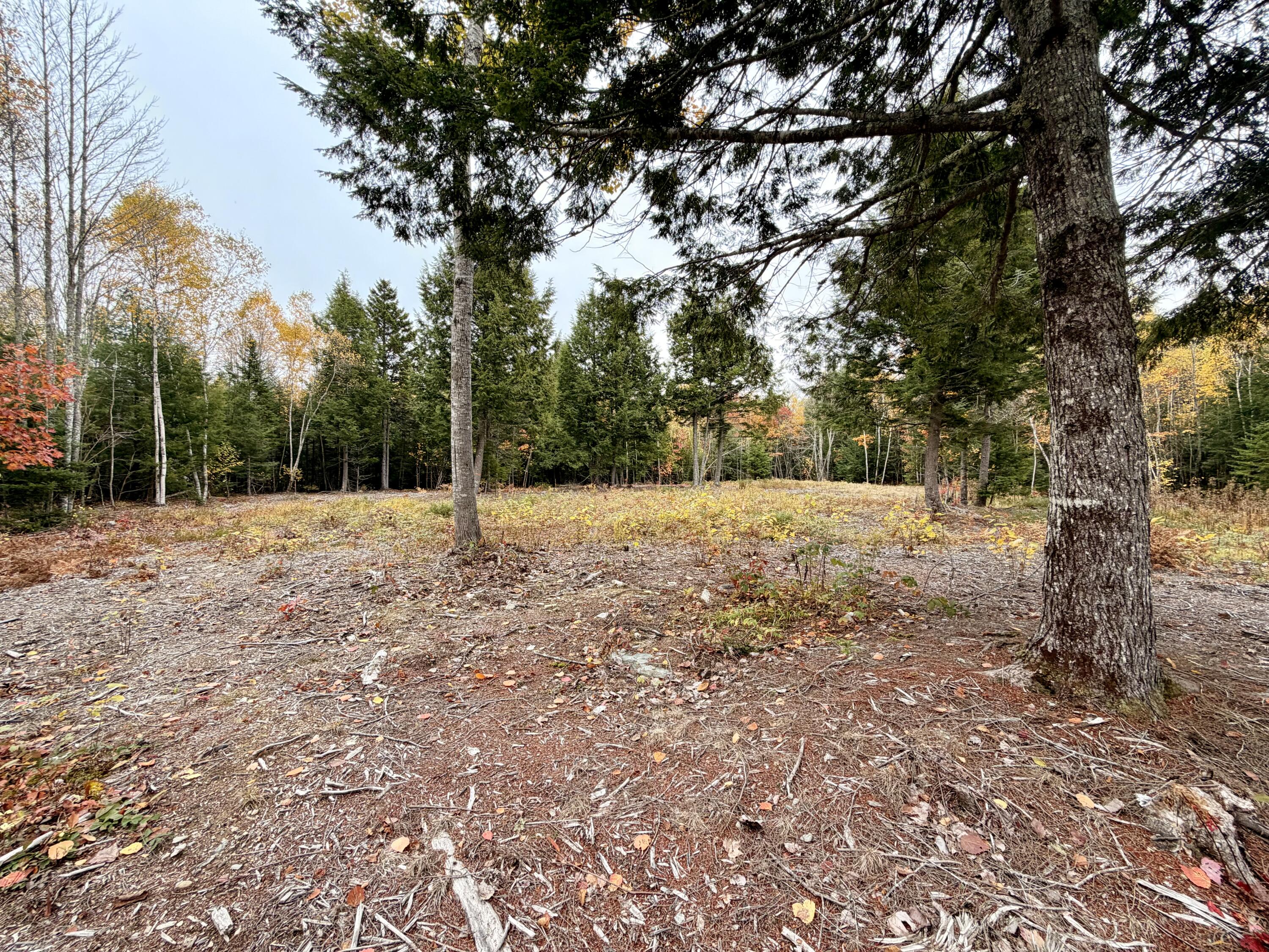 45 Bass Overlook, Waltham, ME, 04605