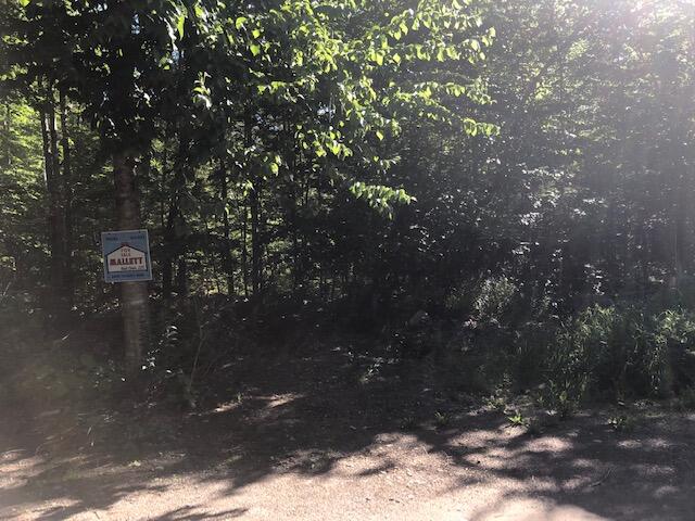 0 Flag Cove Road Road, Bowerbank, ME, 04426