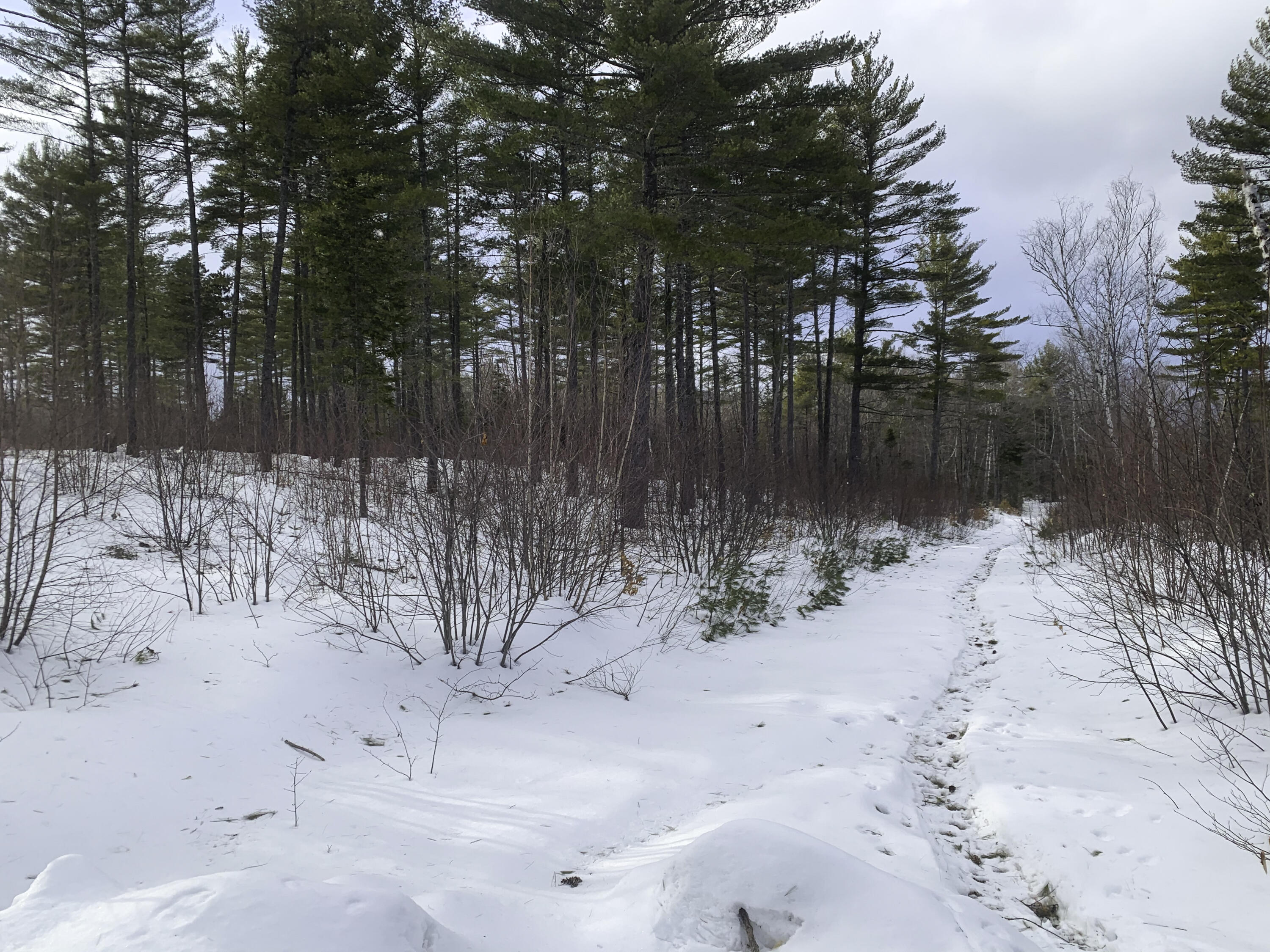 Lot 1 Lyman Wheeler Road, Bethel, ME, 04217