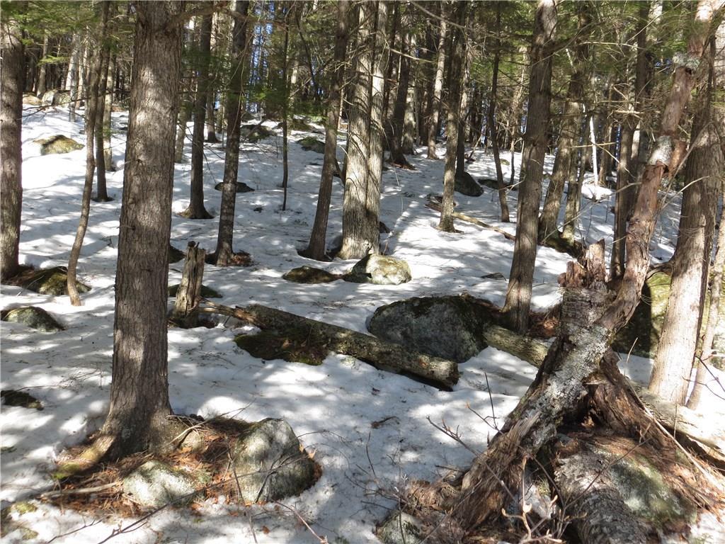 Lot 67 Snowbird Lane, Newry, ME, 04261