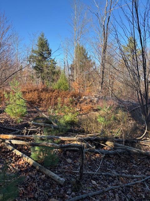 M6 L 26 Black Road N, Searsport, ME, 04974